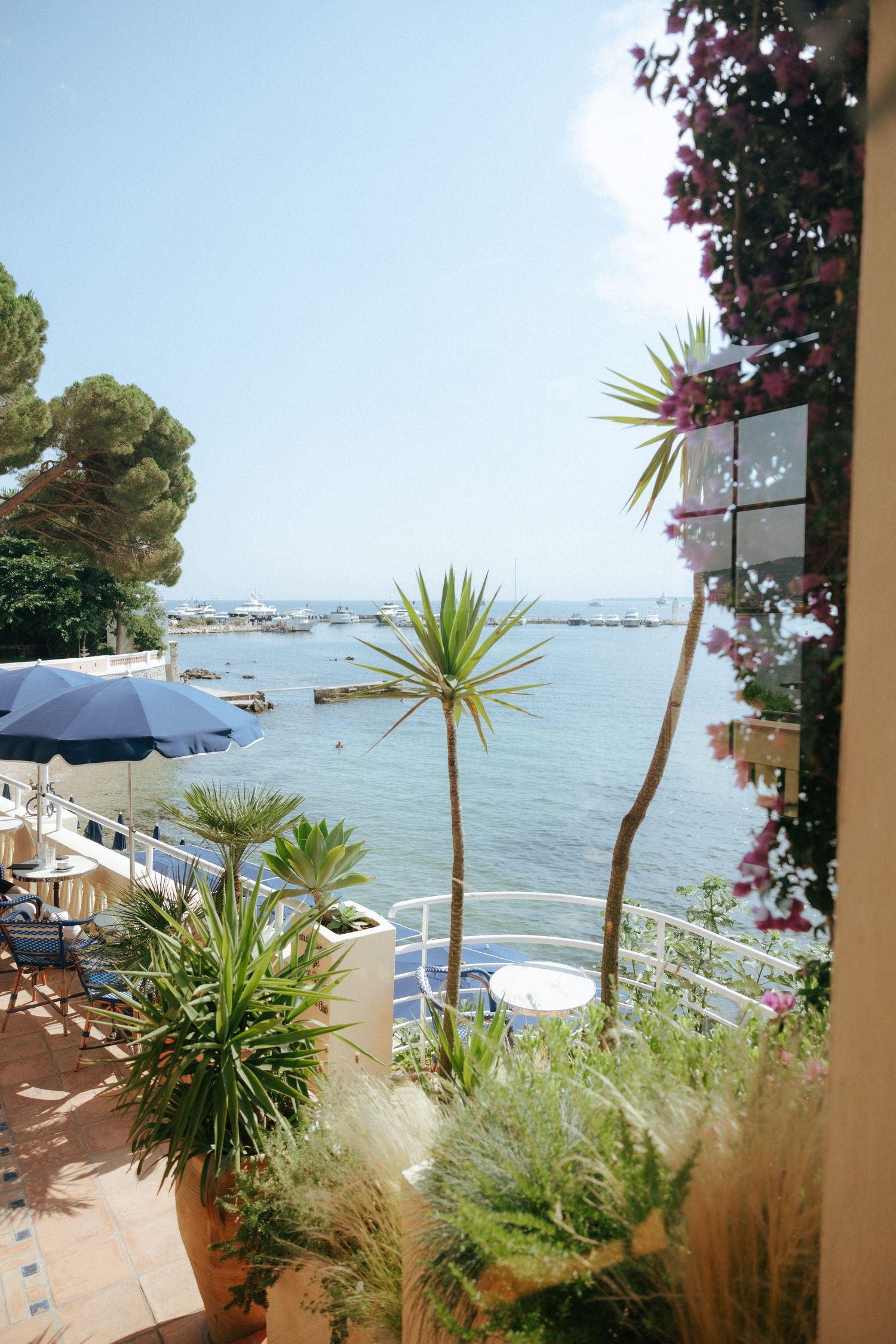 Seaside terrace with palm trees and flowering plants overlooking a marina with boats on a sunny day.