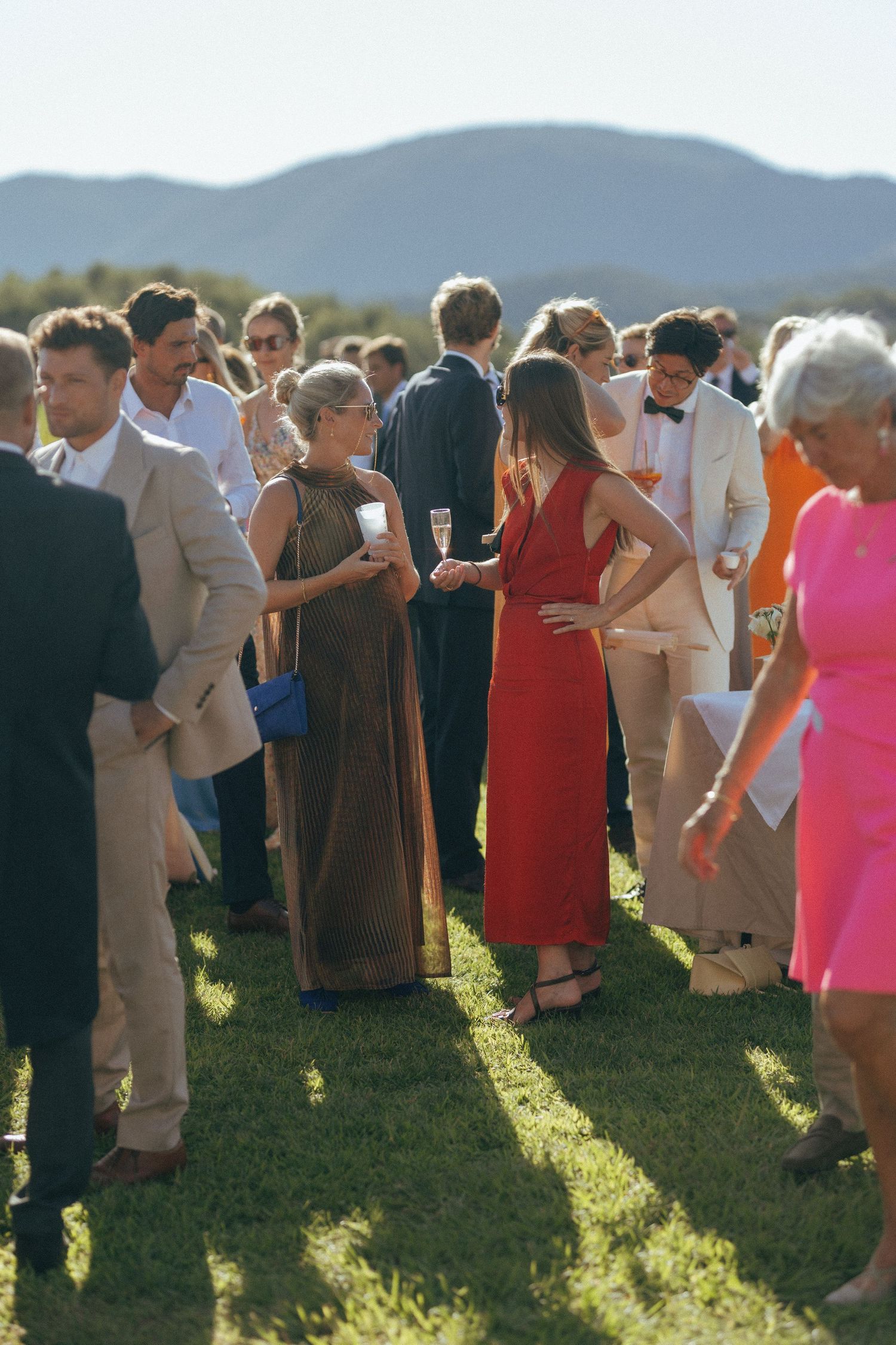 Guests mingle on a lawn during an outdoor event with mountains visible in the background on a sunny afternoon.