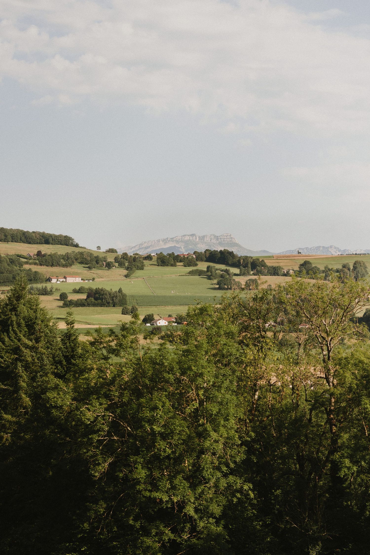 Rolling green hills and countryside landscape with mountains in the distance under cloudy sky.