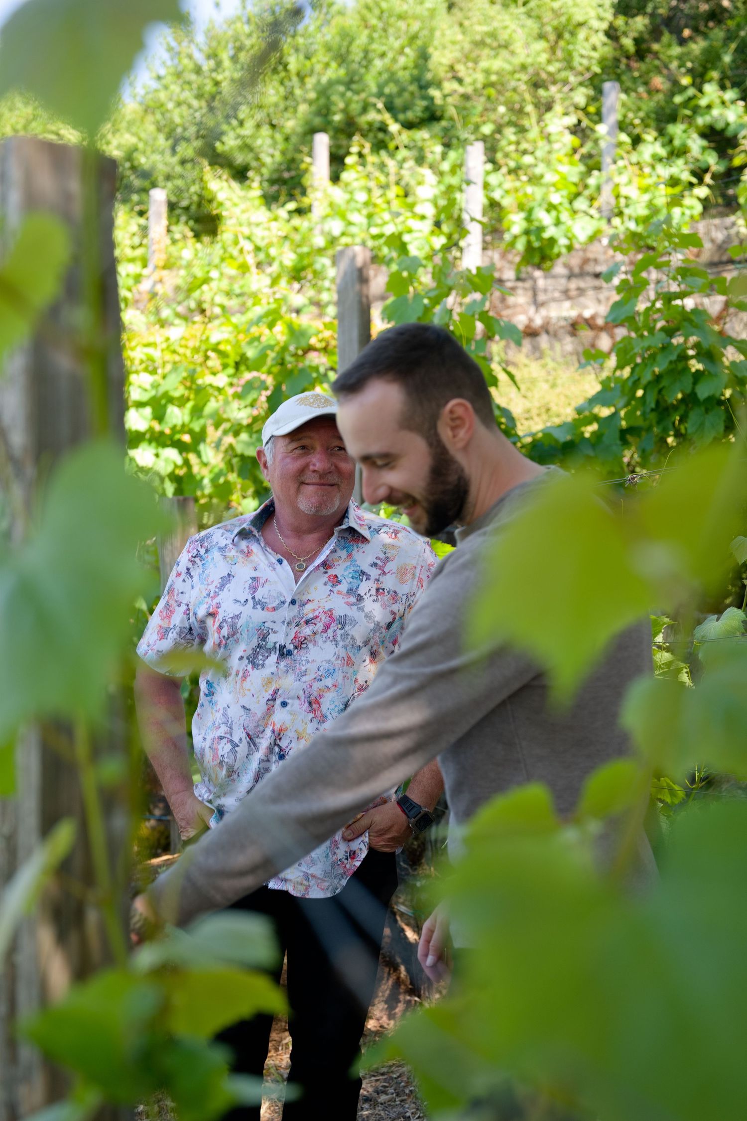 A father and son engrossed in conversation while standing among grapevines in a sunny vineyard in the heart of Soda Canyon, in Napa Valley.