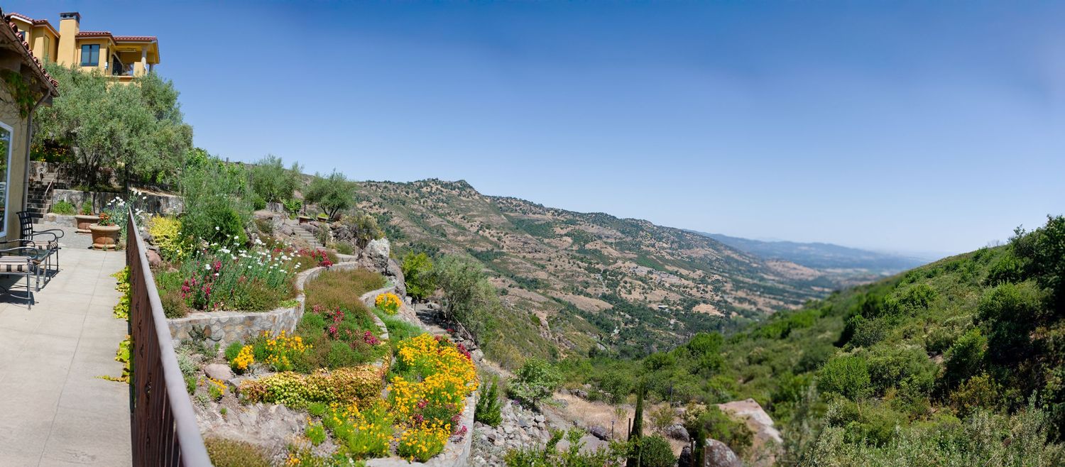 A scenic mountain landscape with desert vegetation and rugged terrain viewed through a panoramic perspective.