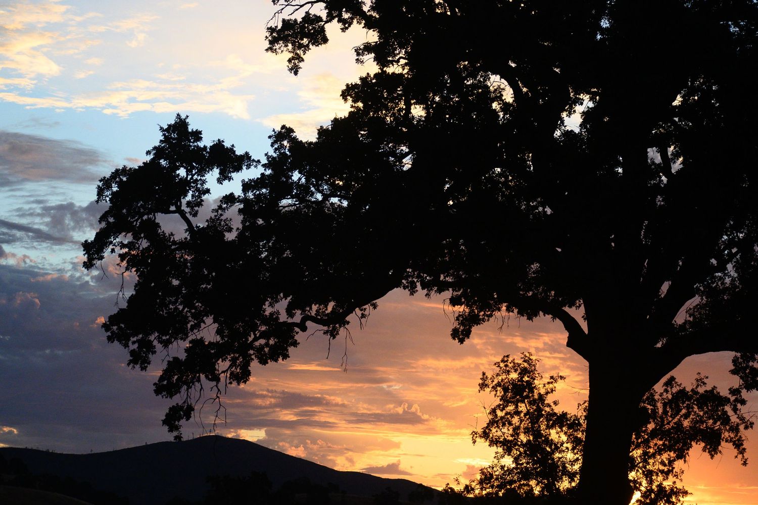 Dramatic orange and purple sunset sky with silhouetted tree branches framing the vibrant dusk scenery.