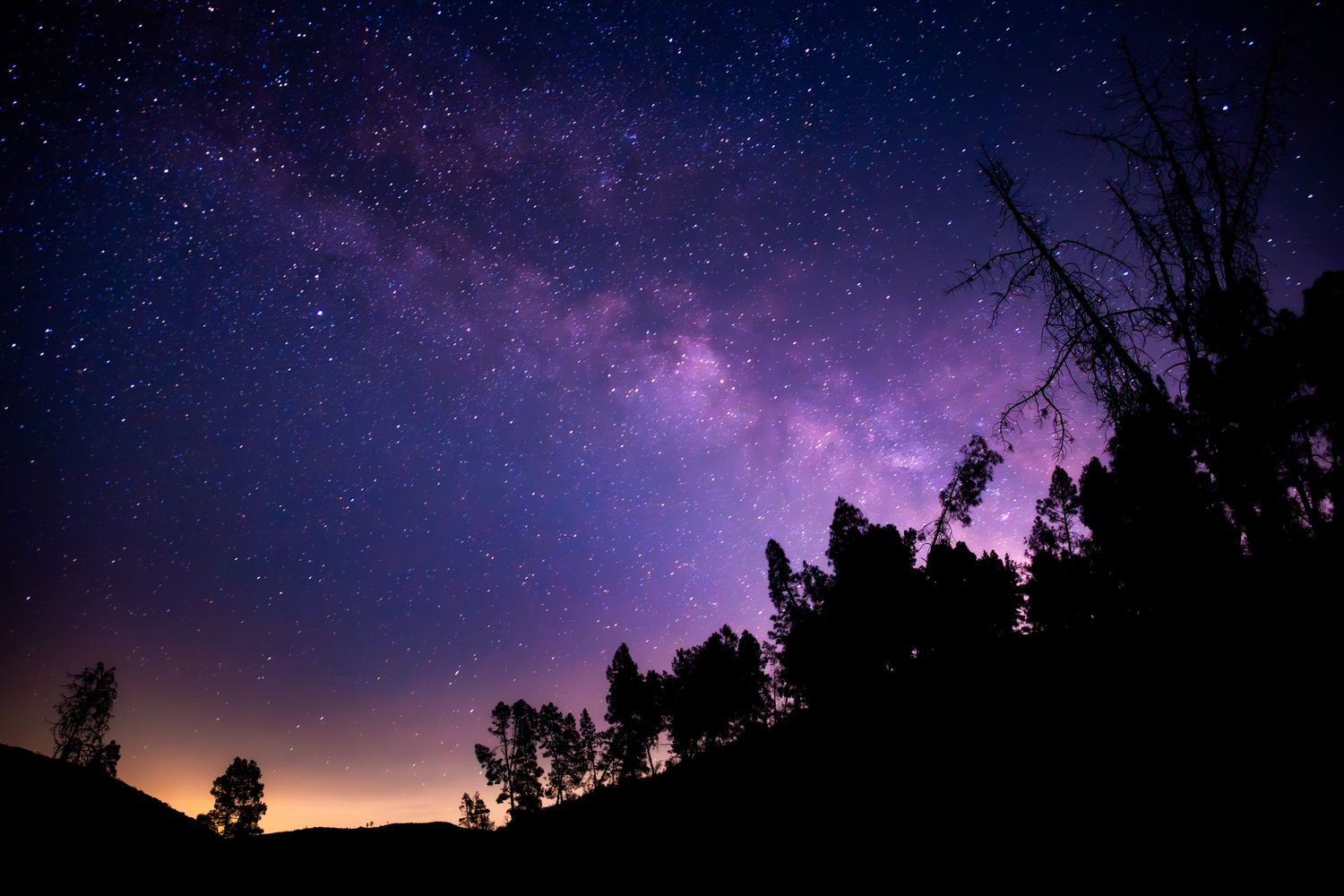 A stunning composite of six night sky photographs showing the Milky Way's progression above dark treeline silhouettes.