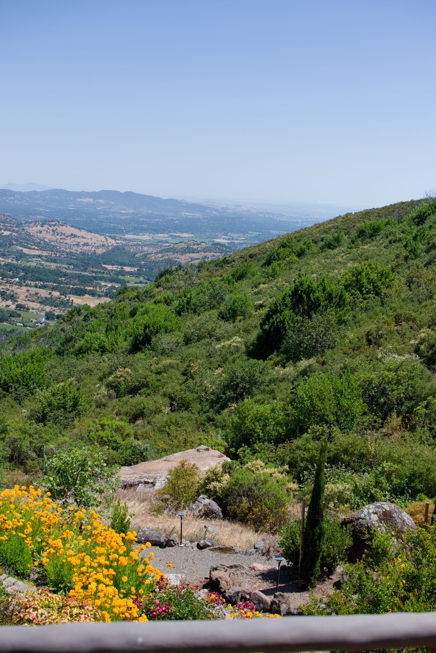 Scenic mountain vista with orange wildflowers blooming along a rocky hillside path overlooking a valley in California.
