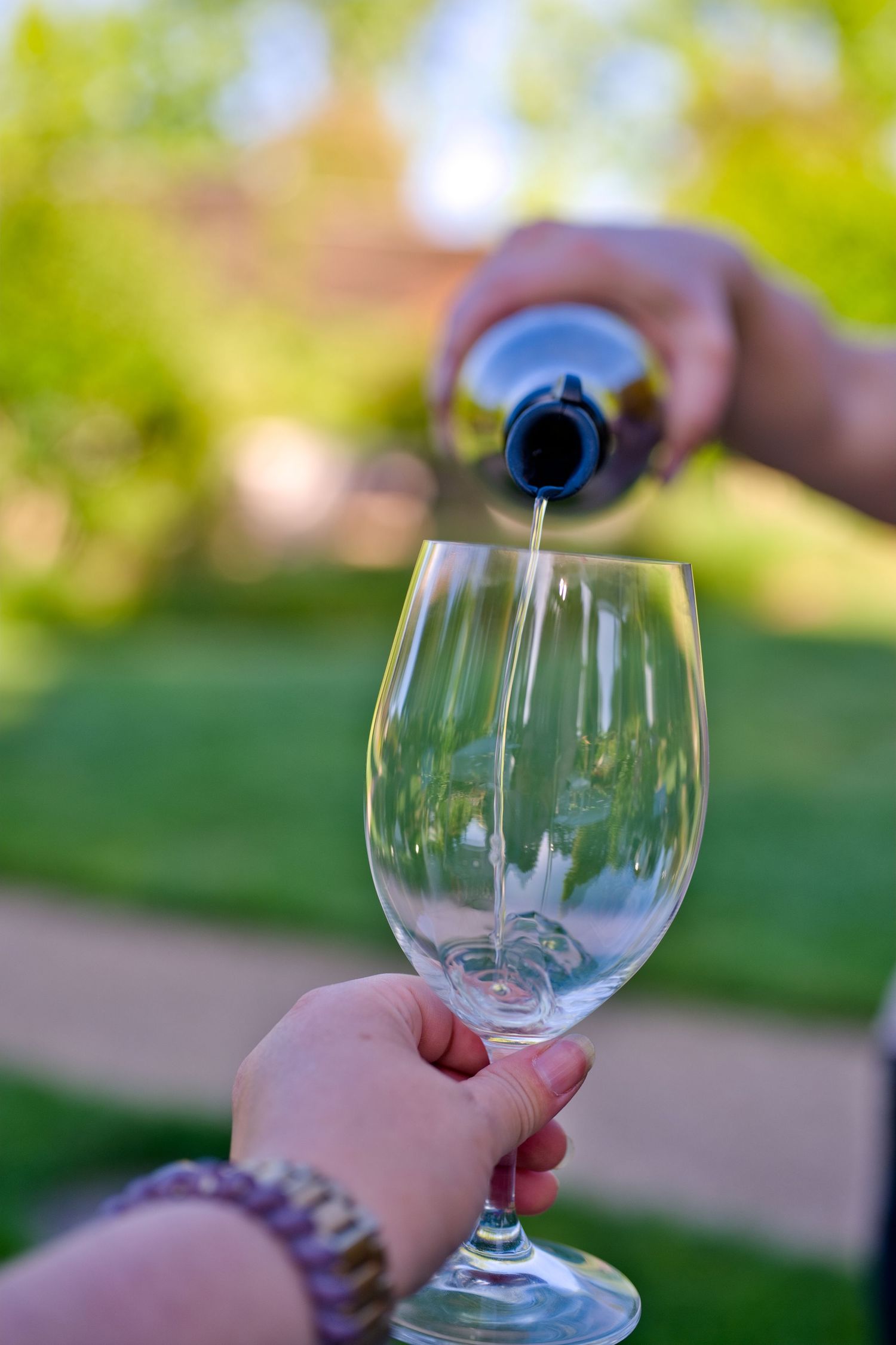 A hand holds a glass of bubbly wine up against a blurred outdoor garden background.