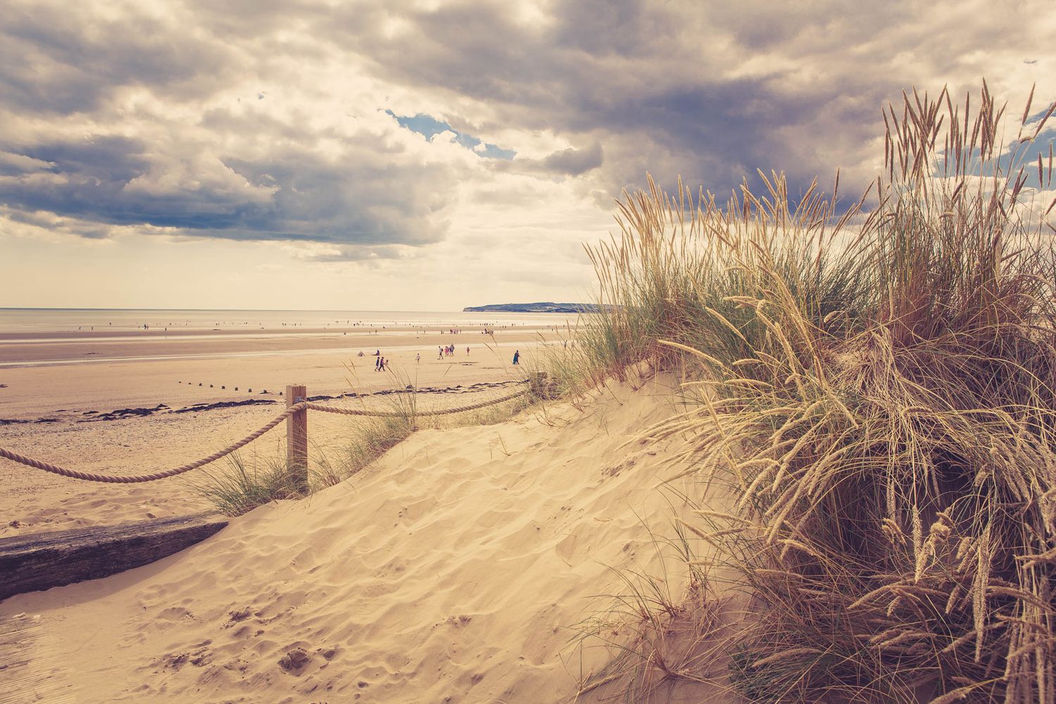 Coastal beach landscape with sand dunes and beach grass under moody cloudy sky.