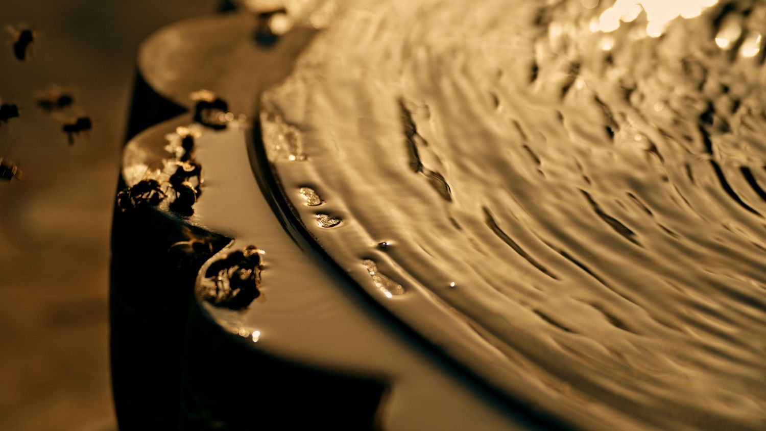 Close-up macro photo of water droplets on a textured metallic surface with warm sepia tones.