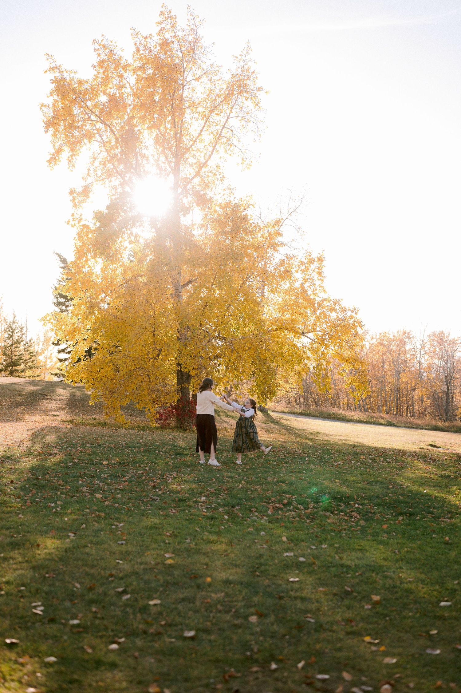 Couple walking together beneath golden autumn trees with sunlight streaming through.