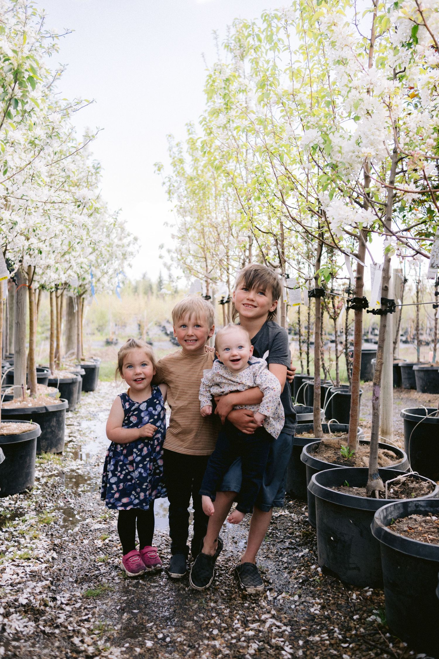 Family photos in a garden nursery with potted trees and scattered leaves on the ground.