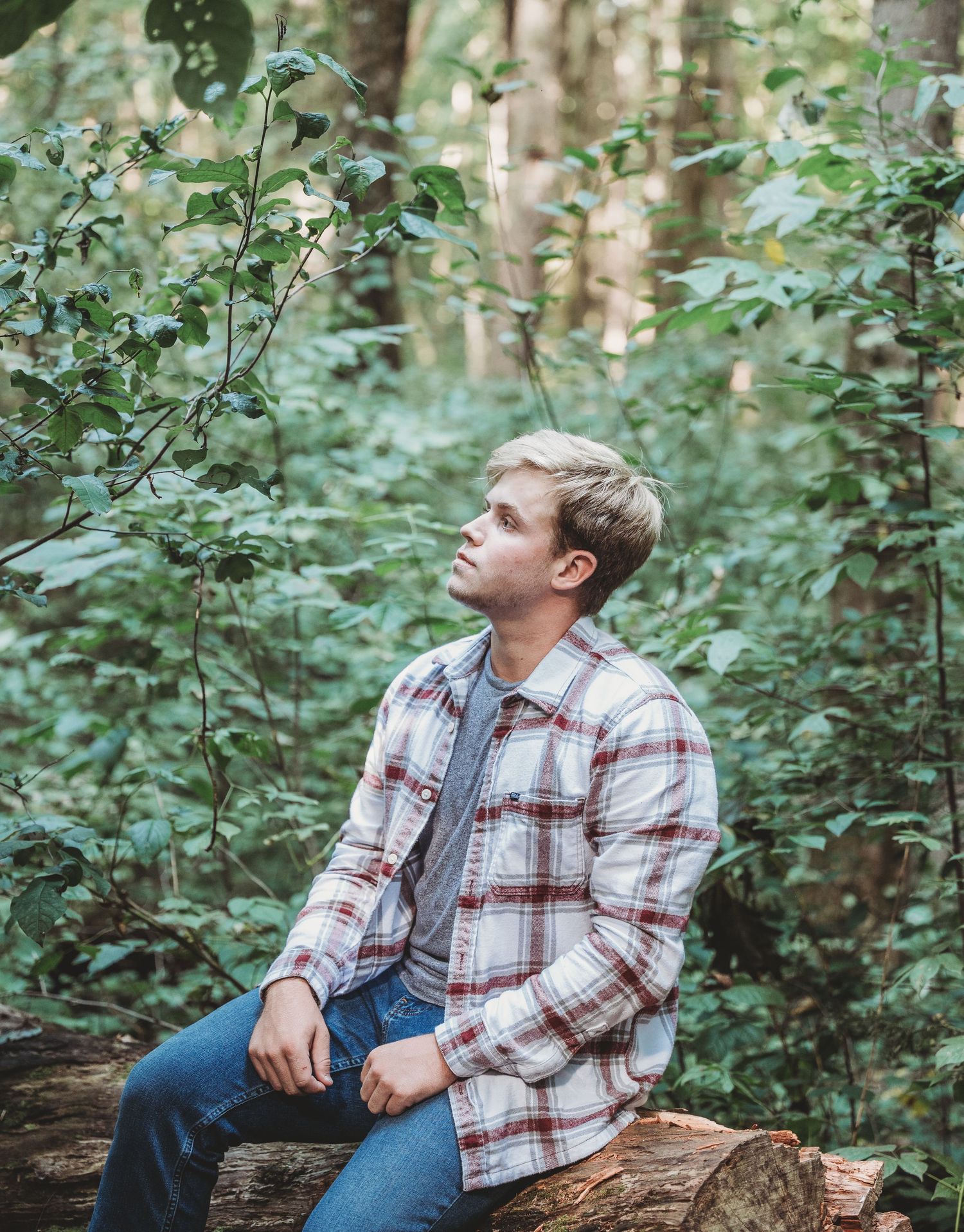 Person in plaid flannel shirt sits on fallen log while looking up at forest canopy in serene woodland setting.