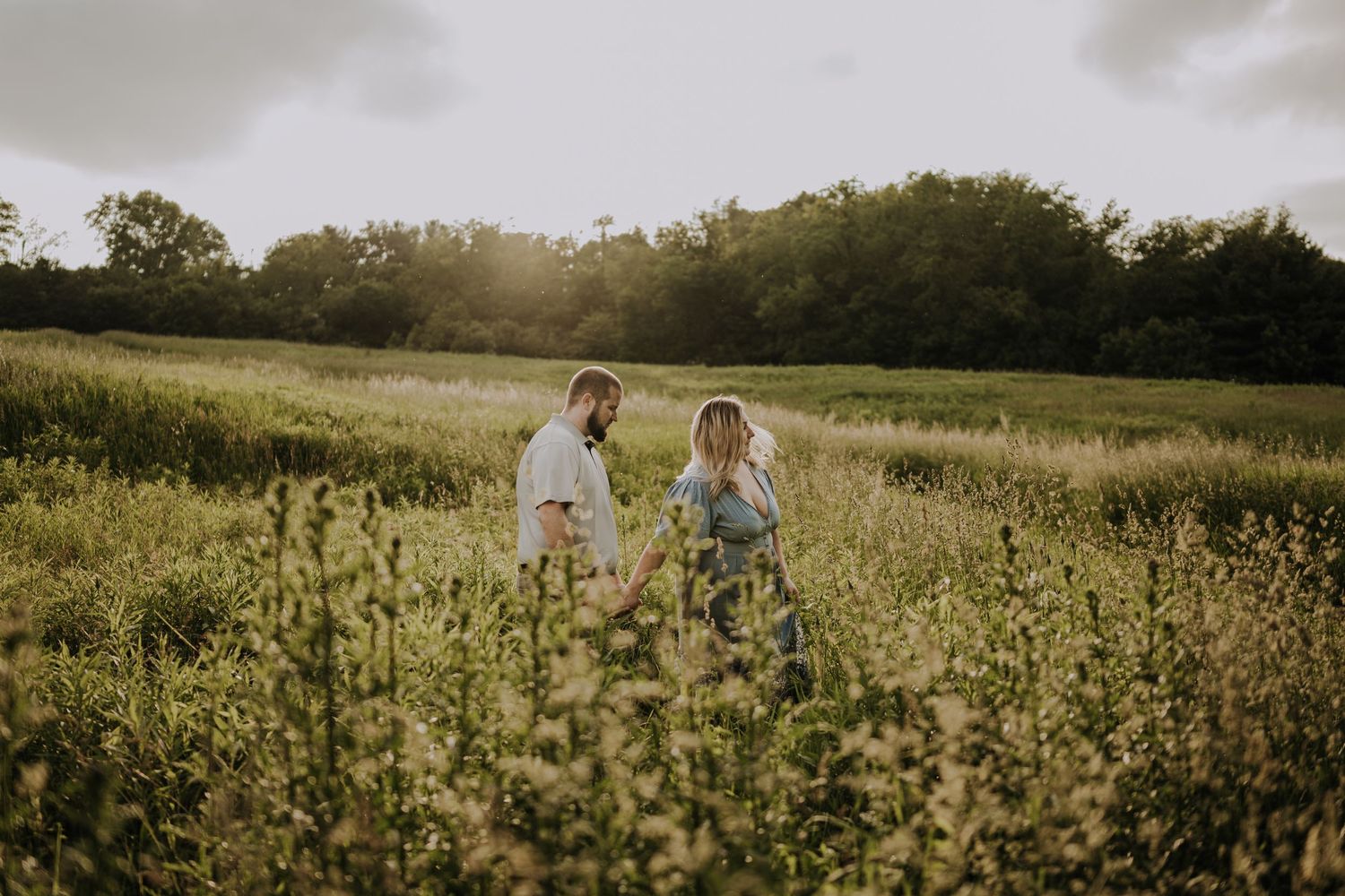 Golden sunlight illuminates a dreamy outdoor scene through delicate wildflowers and tall grasses at sunset.