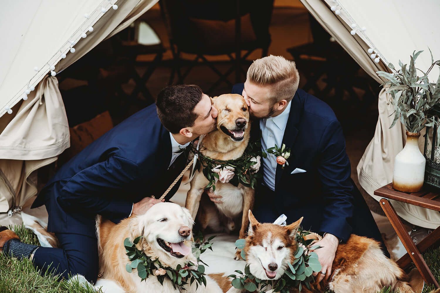 A couple in navy suits poses under a tent with their three dogs during an outdoor wedding celebration.