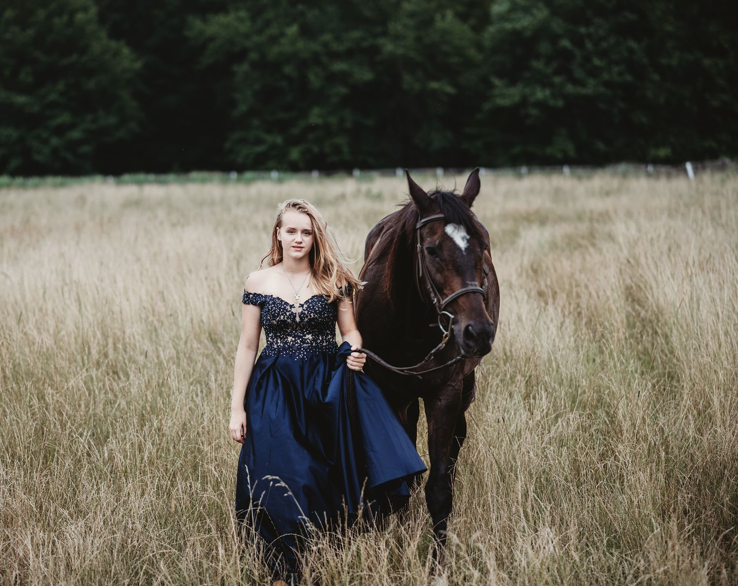 Elegant portraits with dark horse in tall grass meadow at sunset.