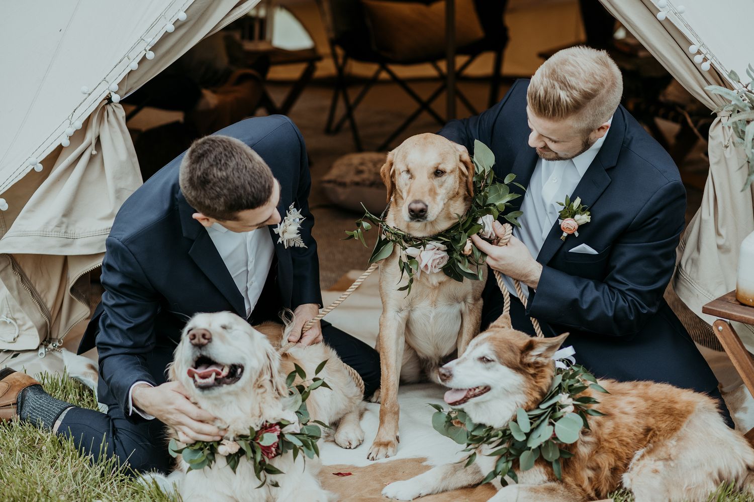Two people sitting in a tent with three dogs wearing floral garlands at an outdoor wedding ceremony.