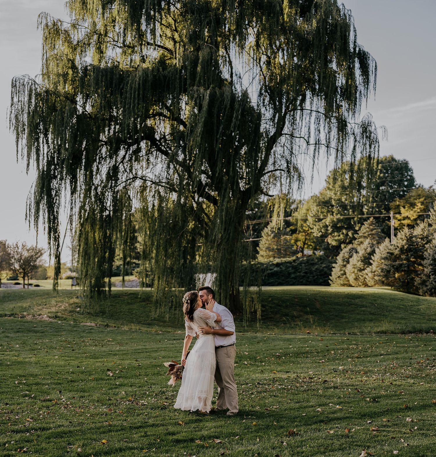 A romantic couple shares an embrace on a sunny lawn beneath the graceful branches of a weeping willow tree.
