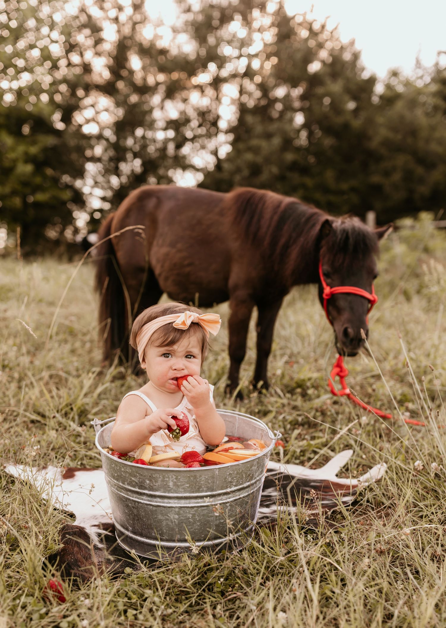 Toddler sits in metal wash tub with brown horse grazing in background.