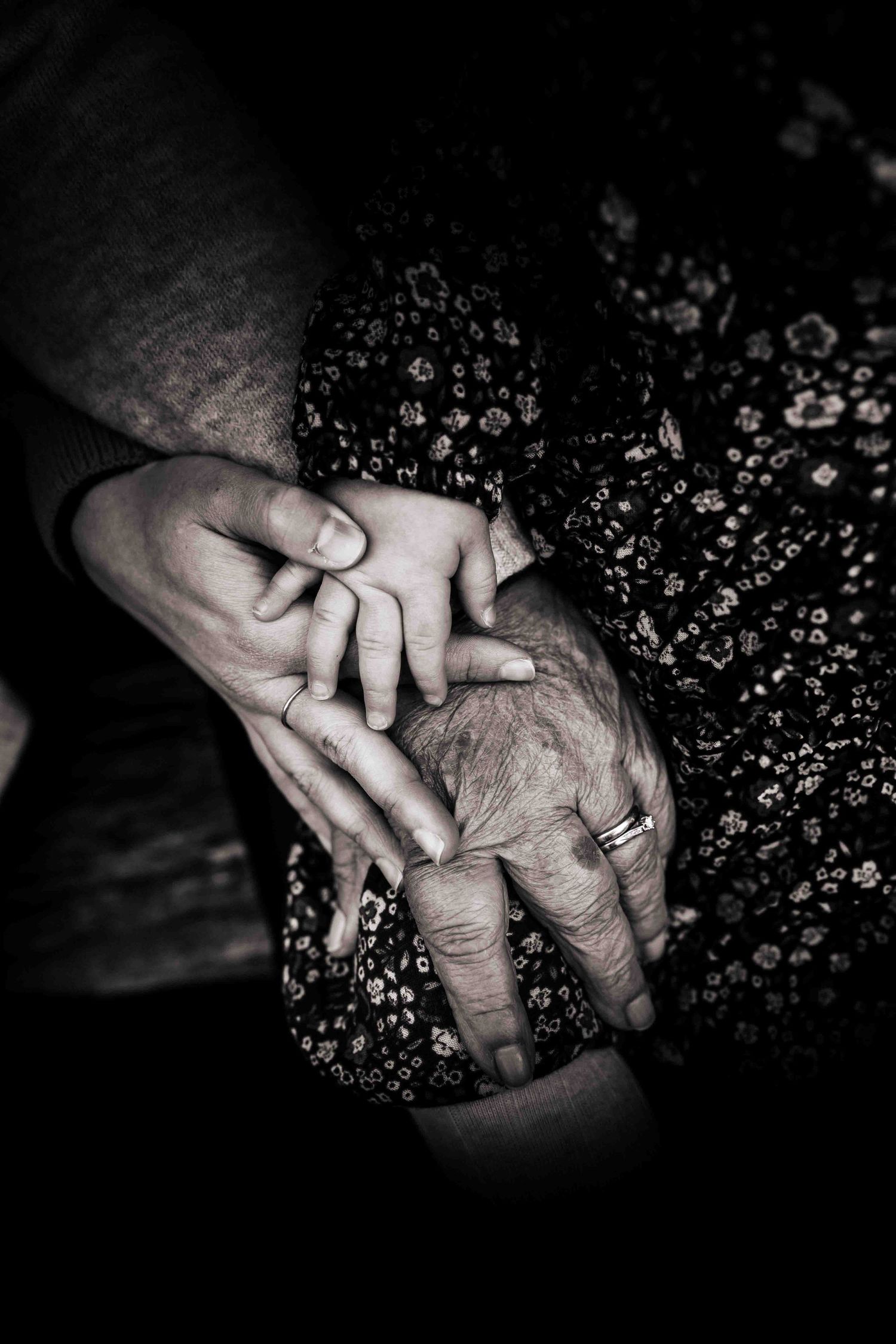 Shoalhaven Family Photography, Three generations - Shoalhaven Family Photographer Claire Frances