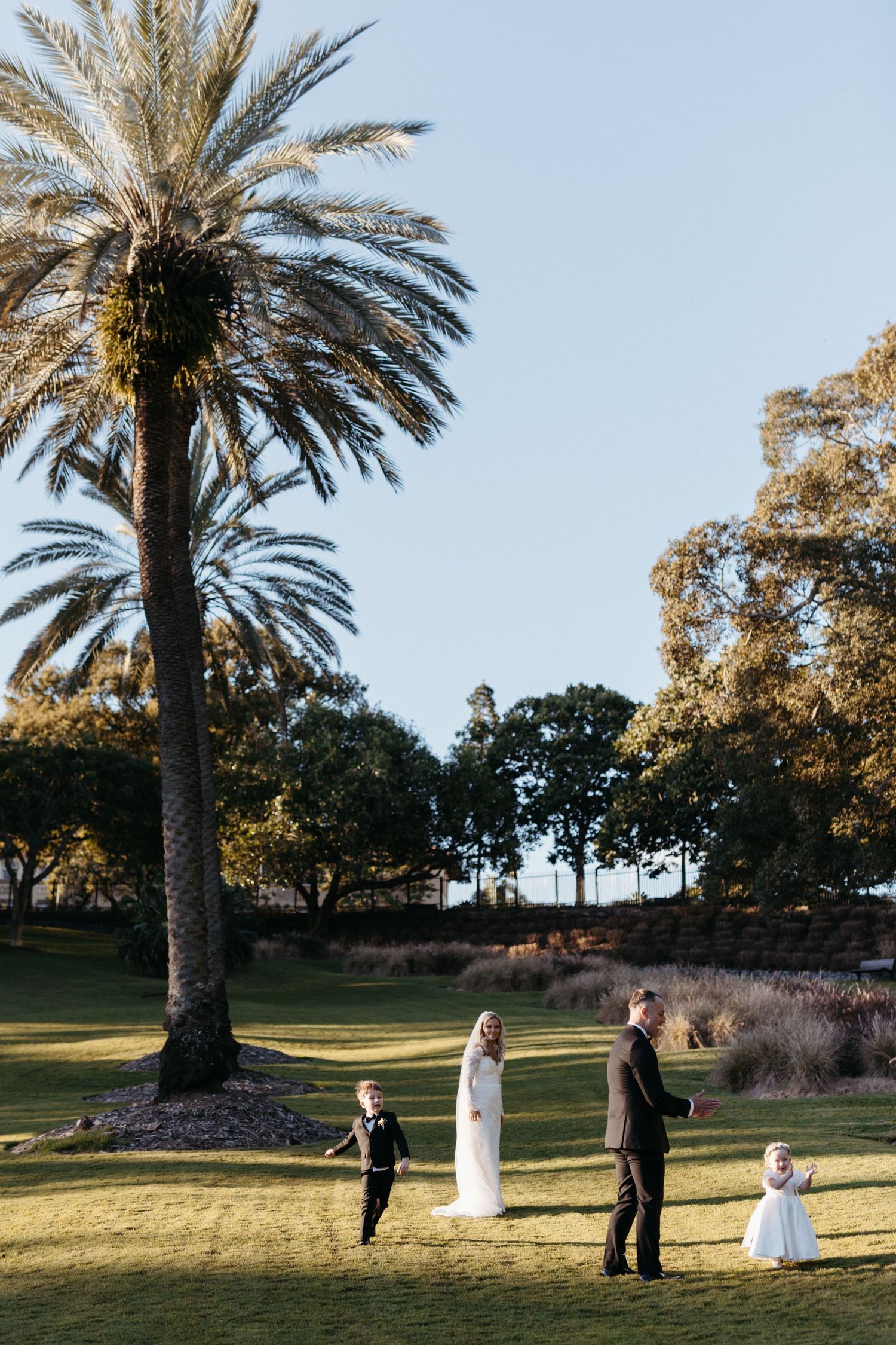 People gather on a grassy lawn with a tall palm tree during golden hour at an outdoor event.