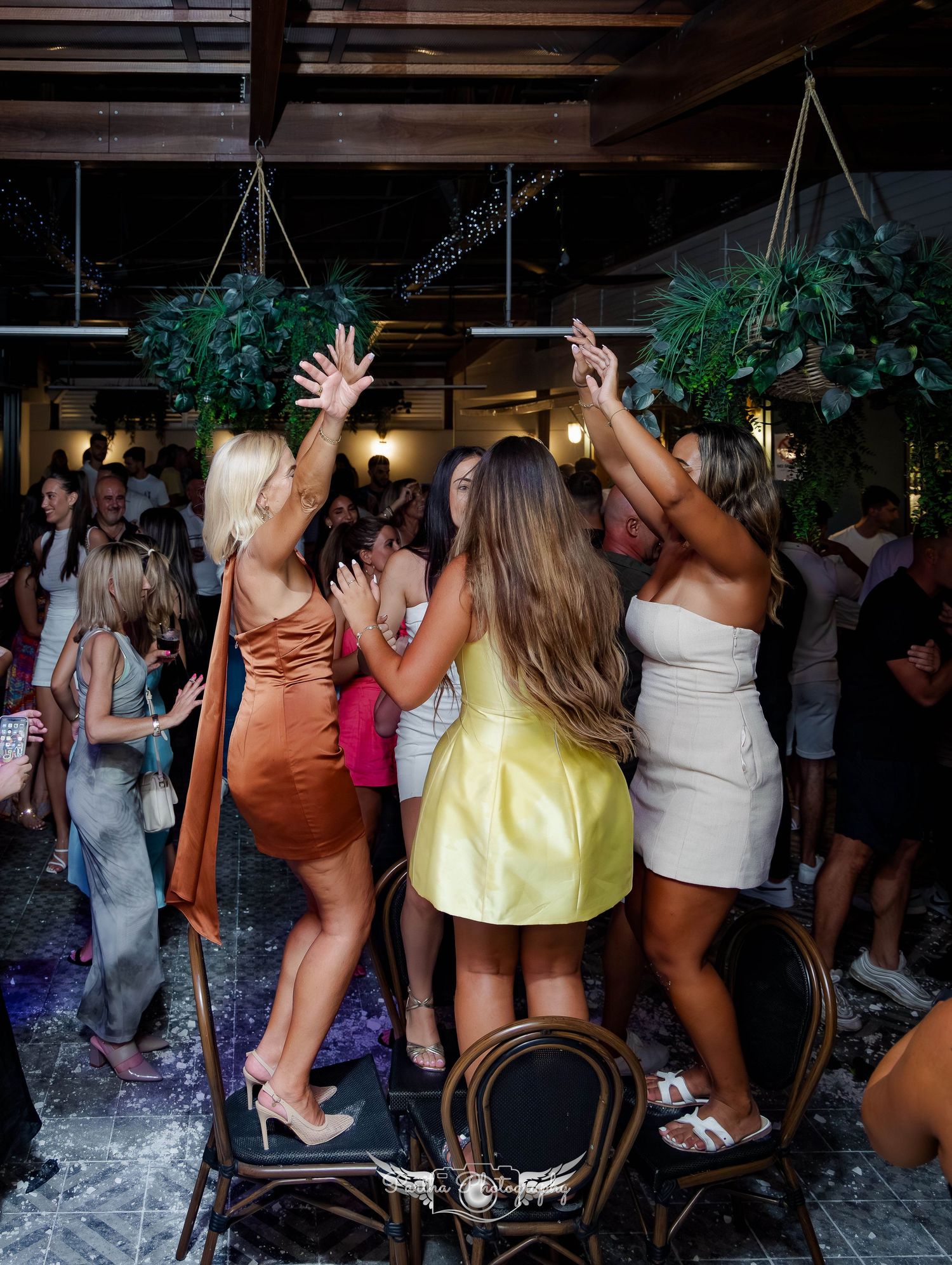 Partygoers standing on chairs dancing with raised arms under hanging plants.