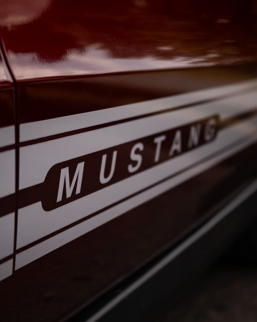 Close-up detail shot of a classic Ford Mustang badge and side stripe on a polished car exterior.