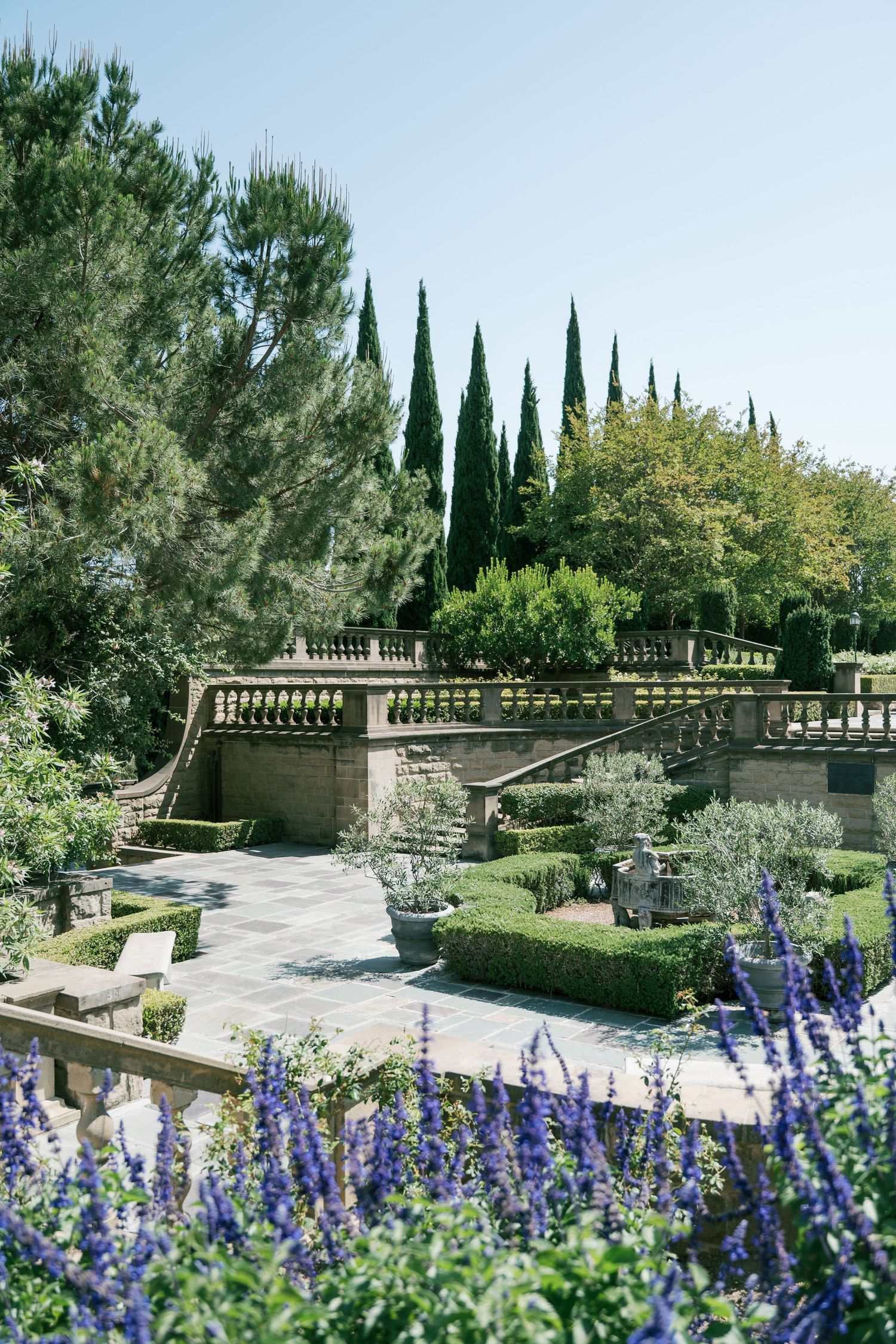 Mediterranean garden with stone balustrades, cypress trees, and blooming purple delphiniums along a winding pathway.