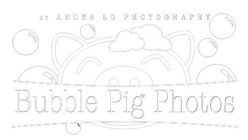 A black and white logo design featuring a pig silhouette with bubble motifs and text reading 'Bubble Pig Photos'.