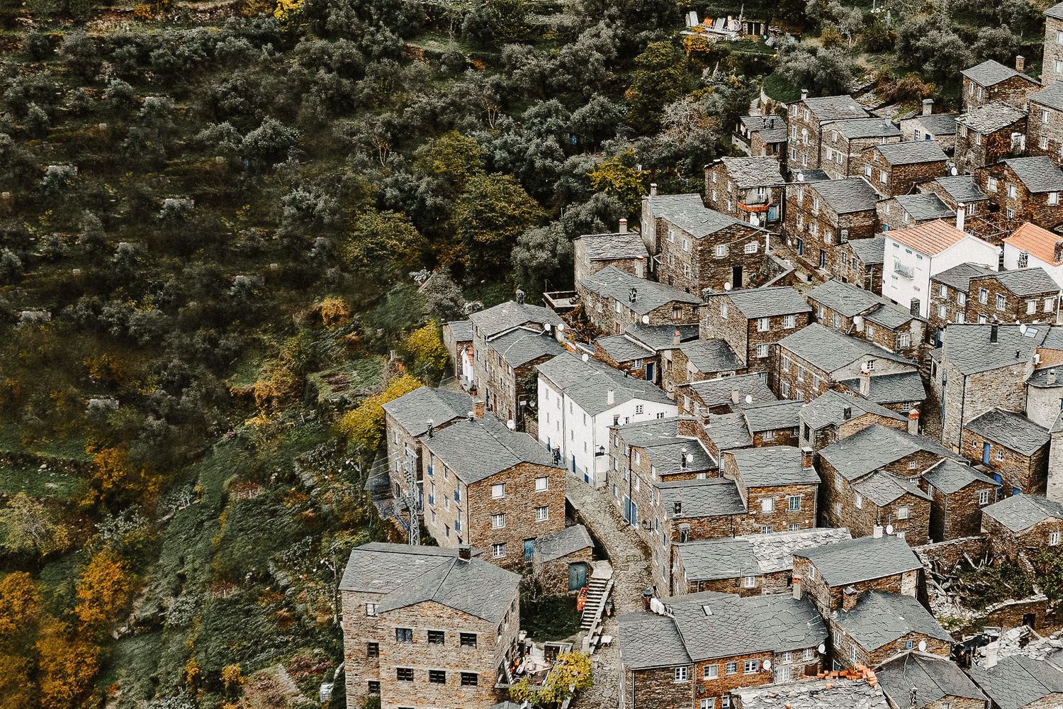 Aerial view of densely packed traditional stone houses nestled on a hillside with autumn foliage.
