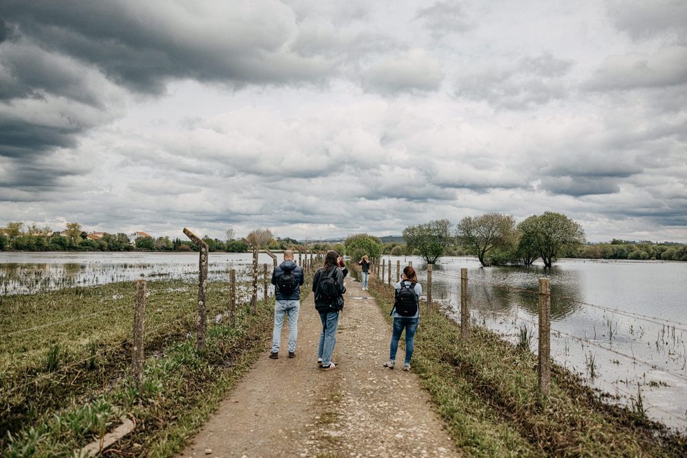 Three photographers walking along a flooded path between wooden posts.