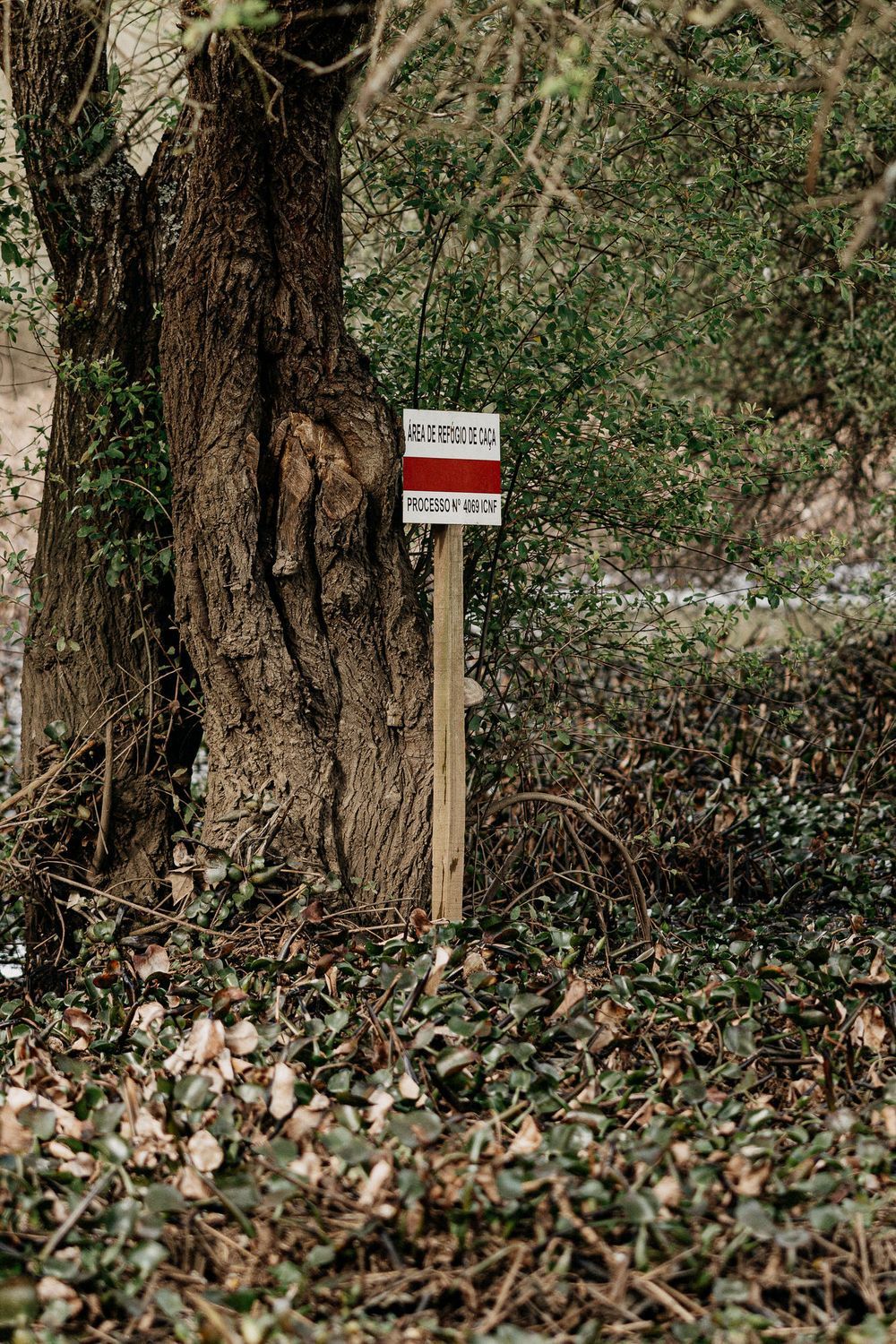 Private property sign posted on tree trunk in wooded area.
