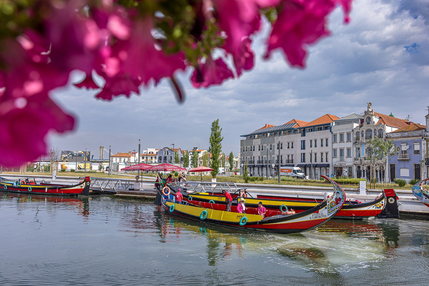 Colorful boats lined up along the waterfront in Aveiro, Portugal with traditional buildings and bright bougainvillea flowers.