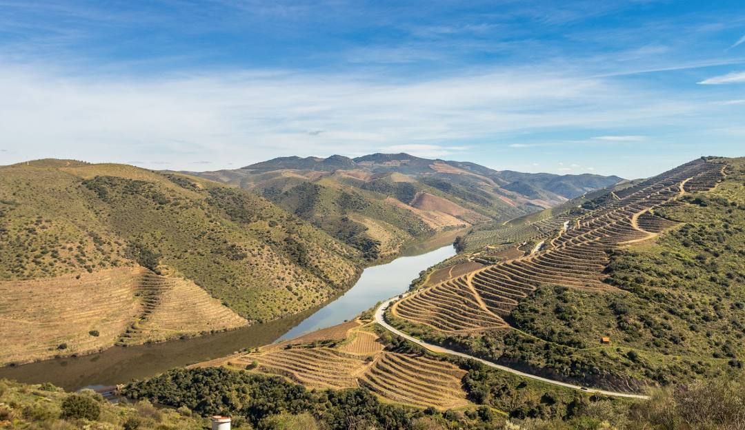 Aerial view of a winding river through golden hills with terraced landscapes.