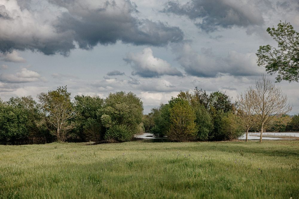 Scenic landscape with green meadow and trees under dramatic cloudy sky.