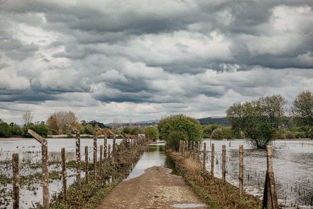 A narrow path between wooden posts leads through flooded fields under dramatic storm clouds.