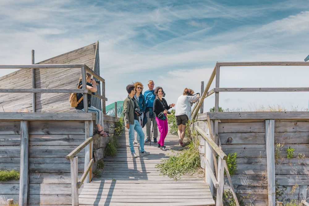Group walking up wooden boardwalk stairs on coastal path.