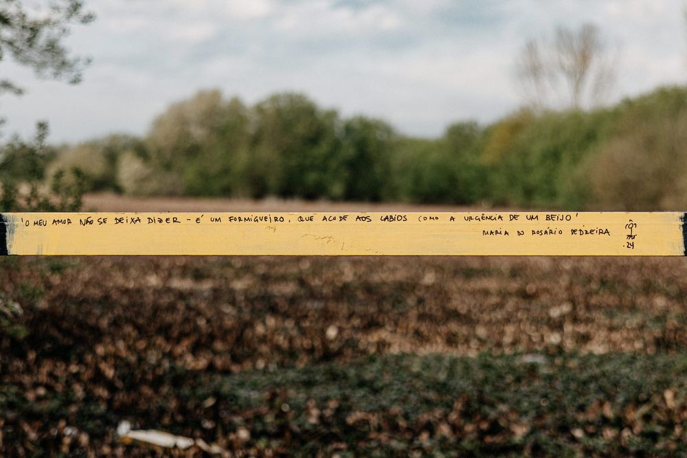 Wooden measuring stick or ruler positioned against a blurred natural background.