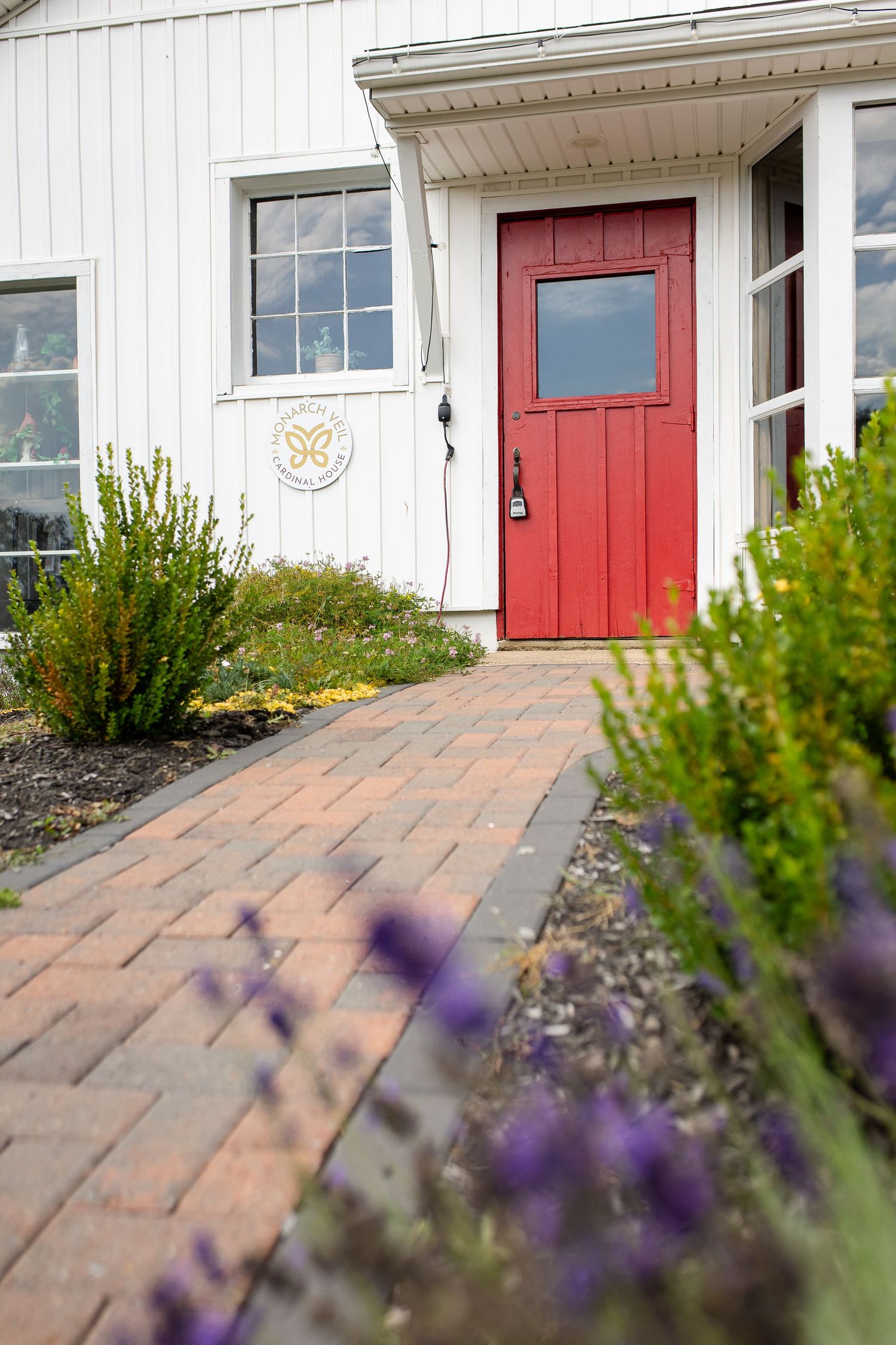 photo taken through lavender focusing on The Monarch Veil's red door and white siding of their cottage