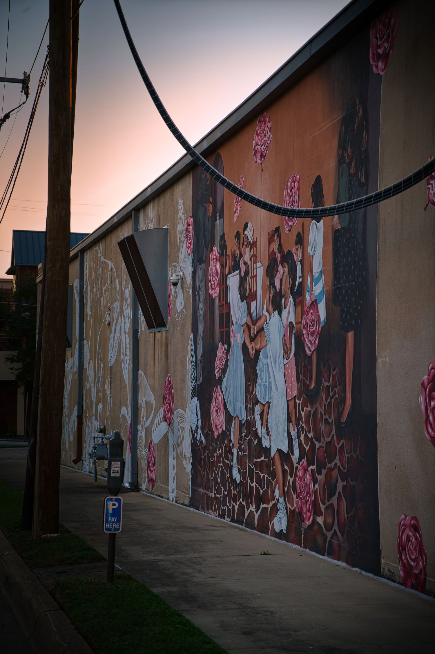 Large wall mural with floral designs photographed at sunset with power lines visible.