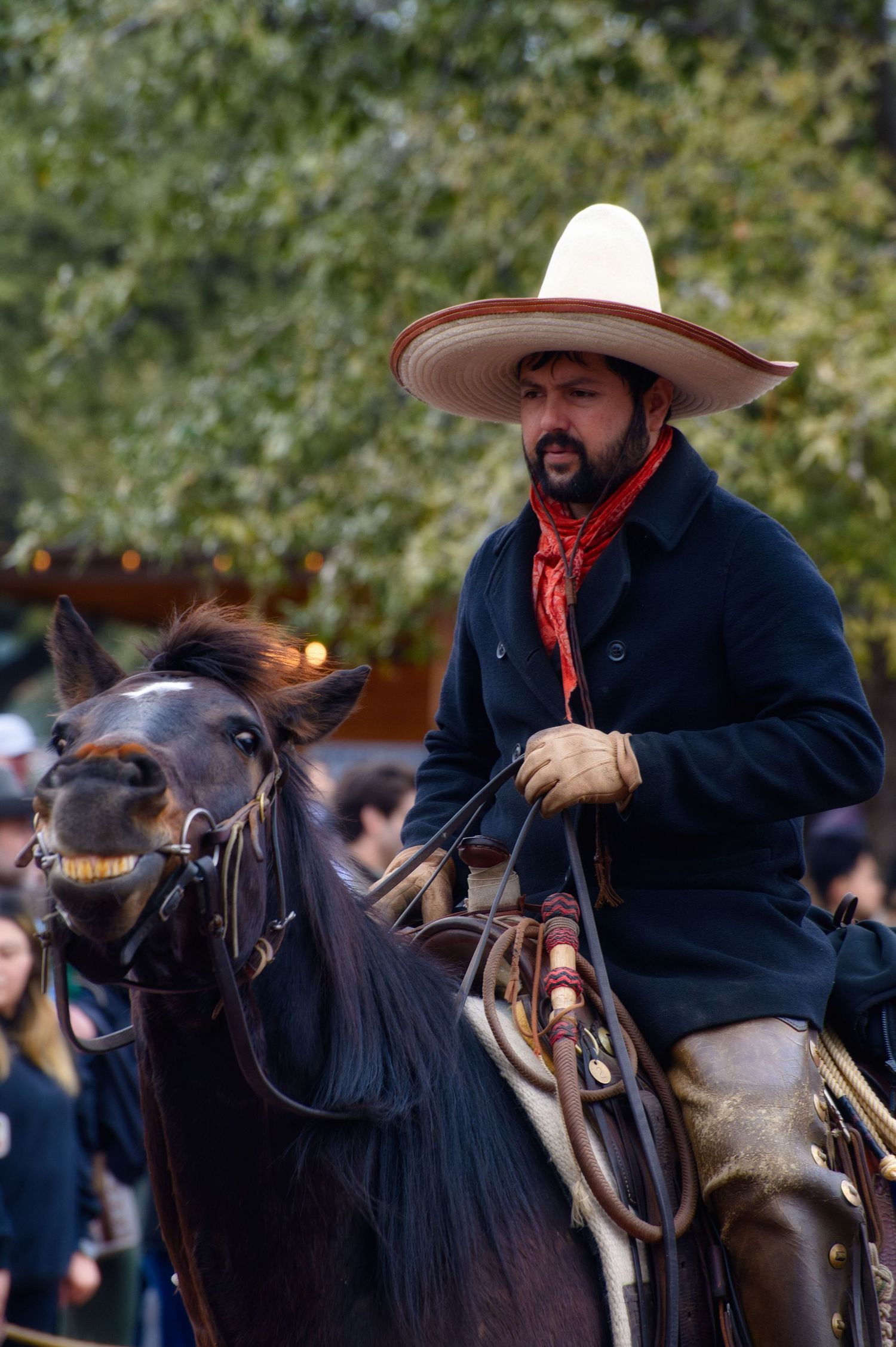 A horseback rider in western attire guides a black horse during an outdoor event.