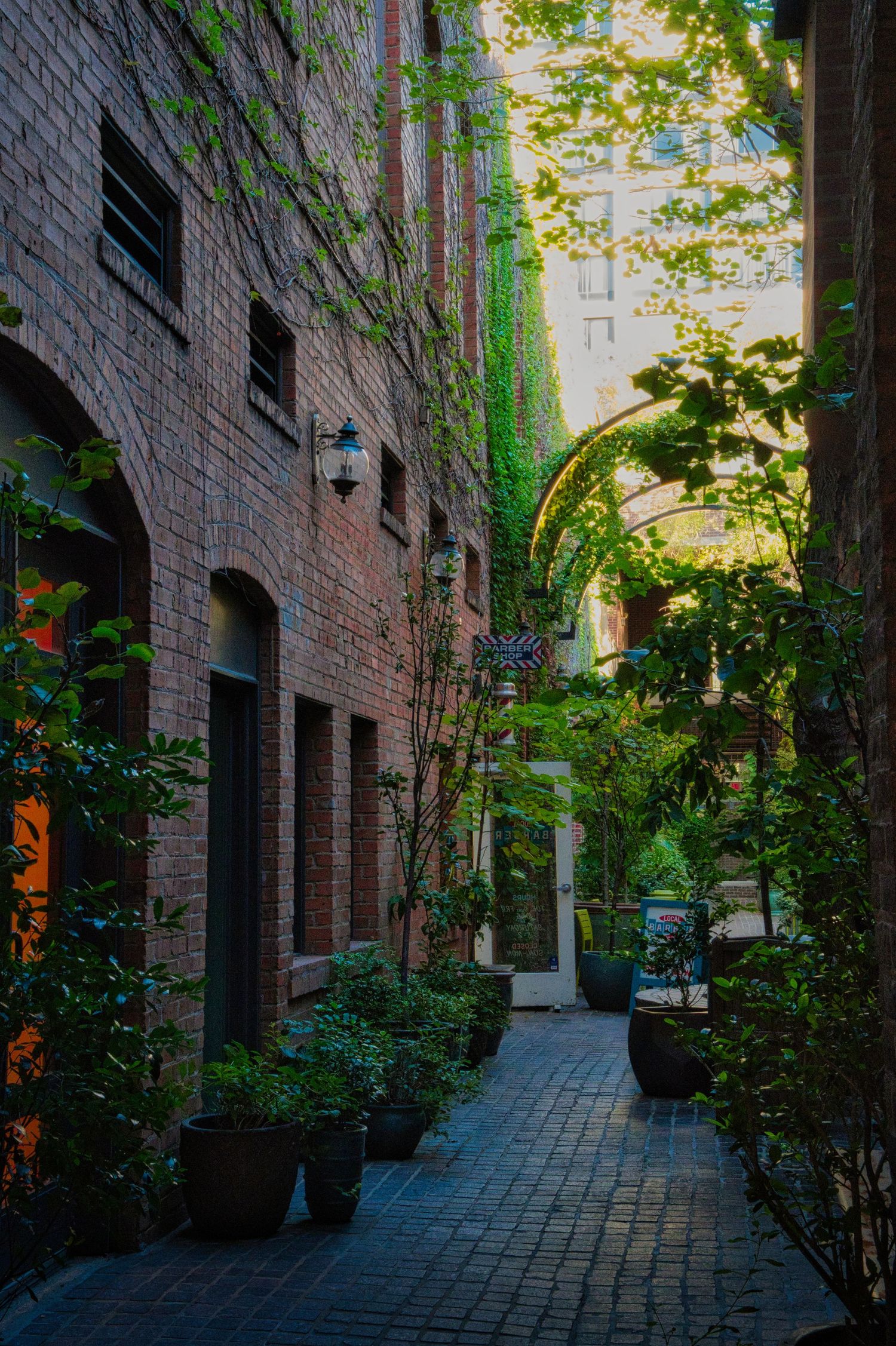 A charming brick alleyway with climbing vines and lanterns creates a cozy urban garden atmosphere.