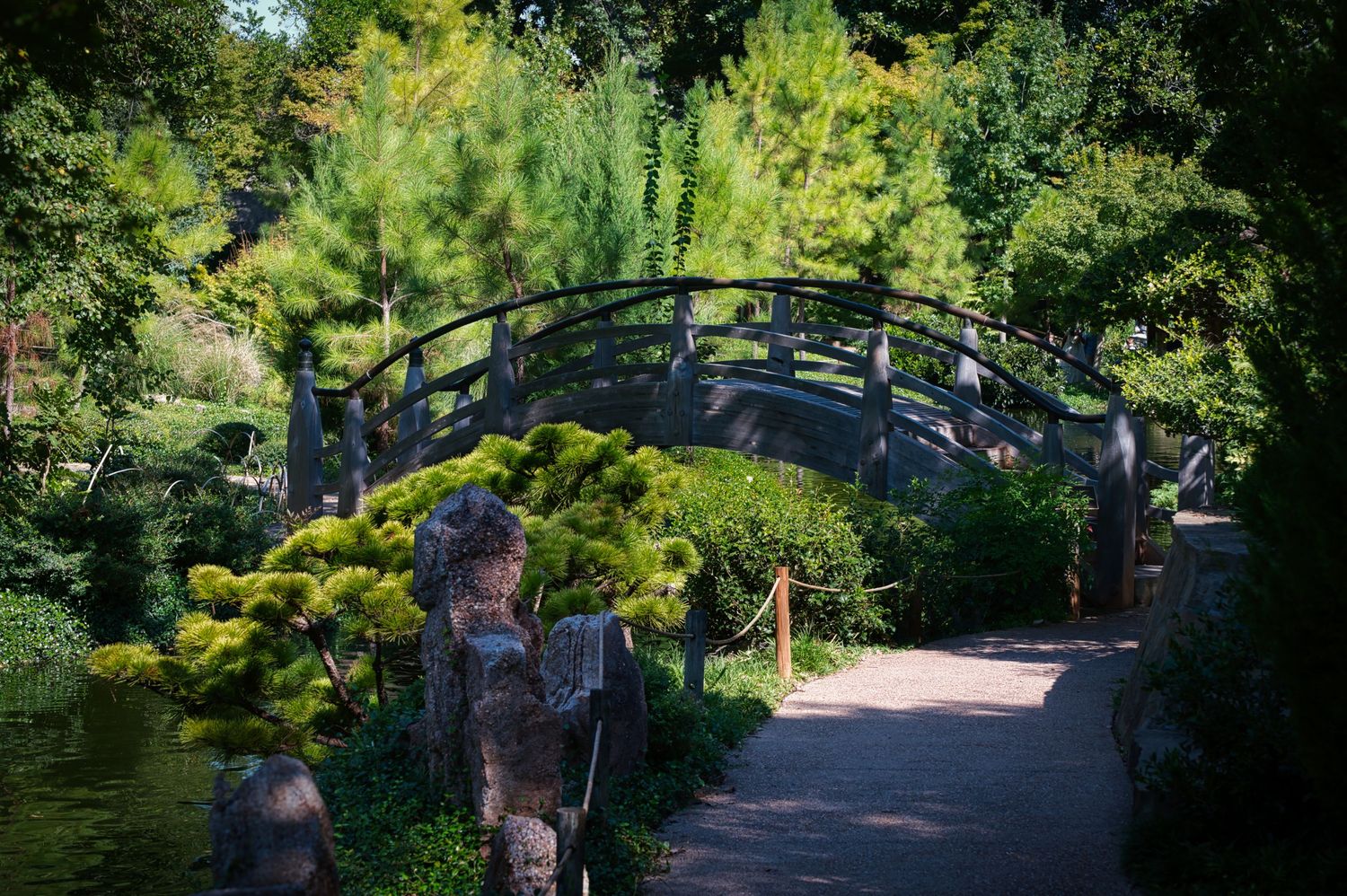 A scenic arched wooden bridge crosses over a pond in a serene Japanese garden setting.
