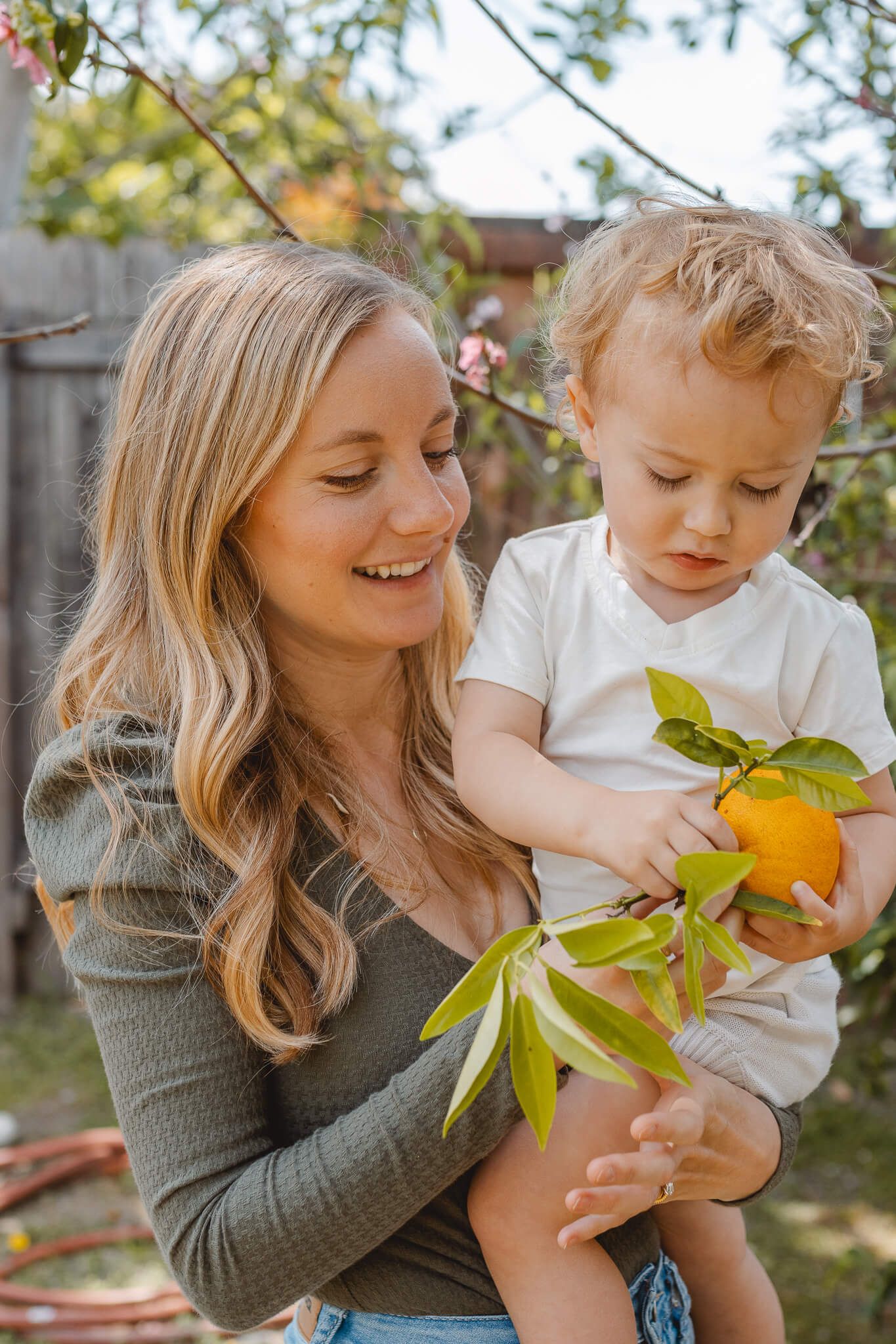 Happy parent and toddler picking fresh citrus fruit together in a sunny backyard garden.