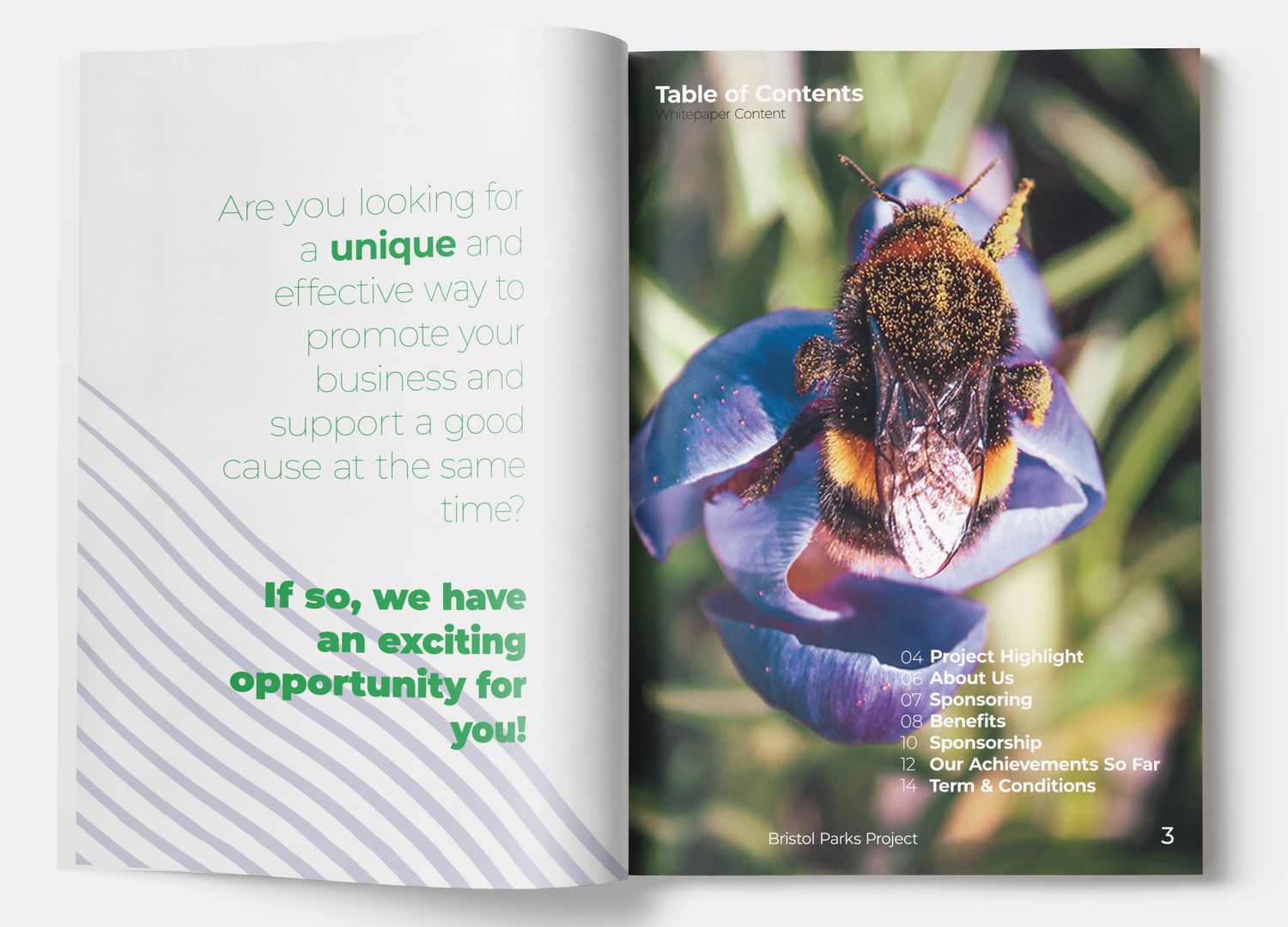 Mockup presentation showing printed brochure pages with nature photography and marketing text.