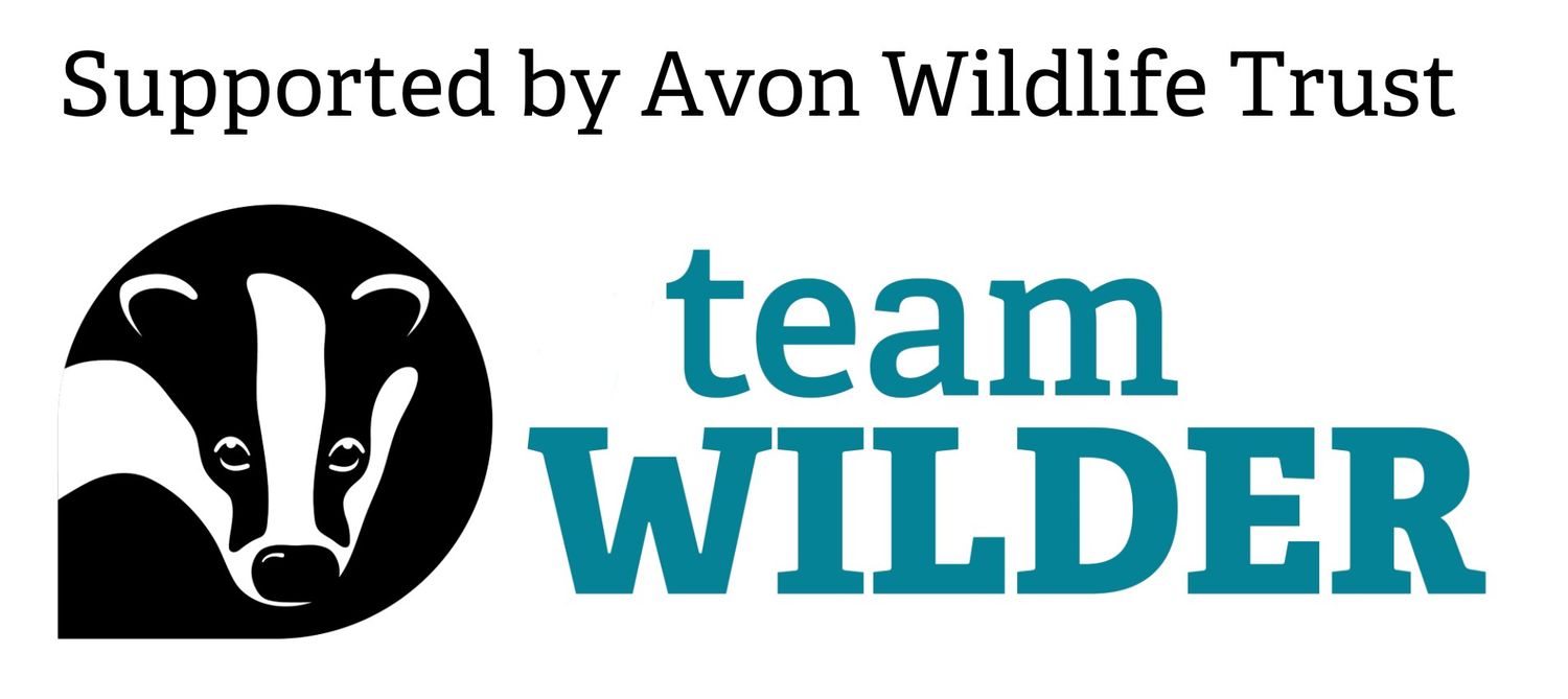 Black and white logos for Avon Wildlife Trust showing animal silhouettes and text graphics in a banner design.