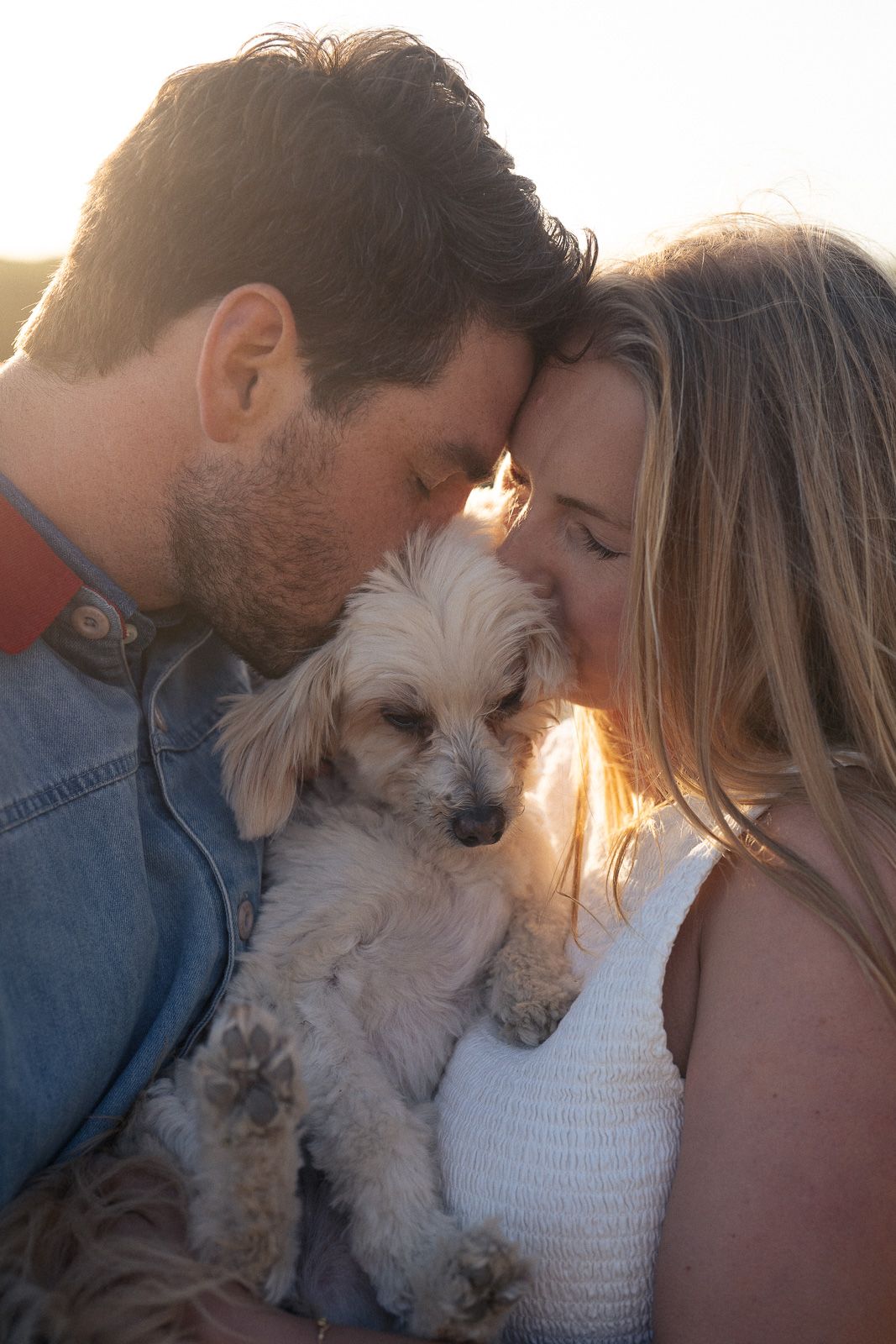 A couple shares an intimate moment at sunset with their small white dog between them.