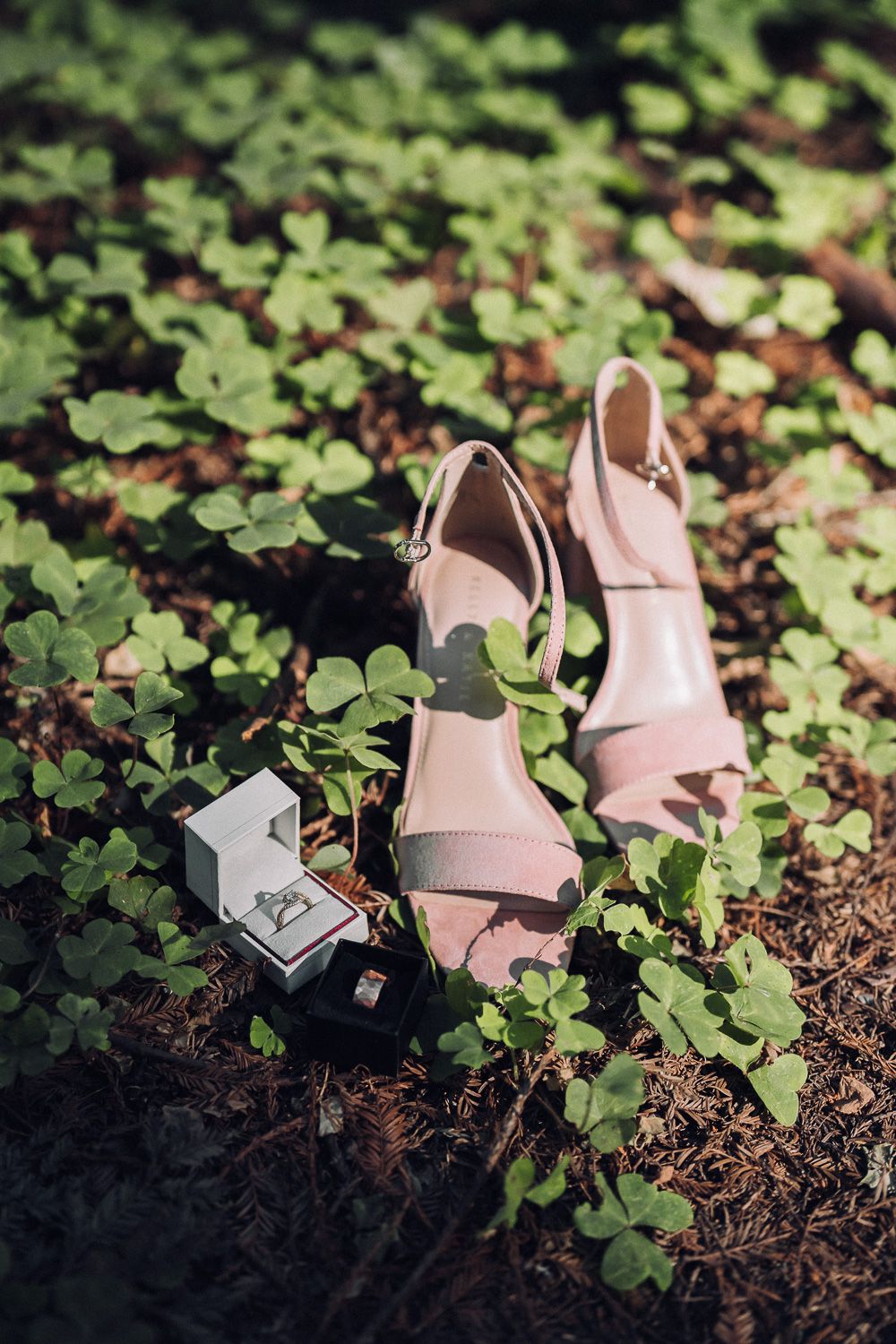 A small engagement ring box and pink heels sit nestled among green clover leaves in soft natural lighting.