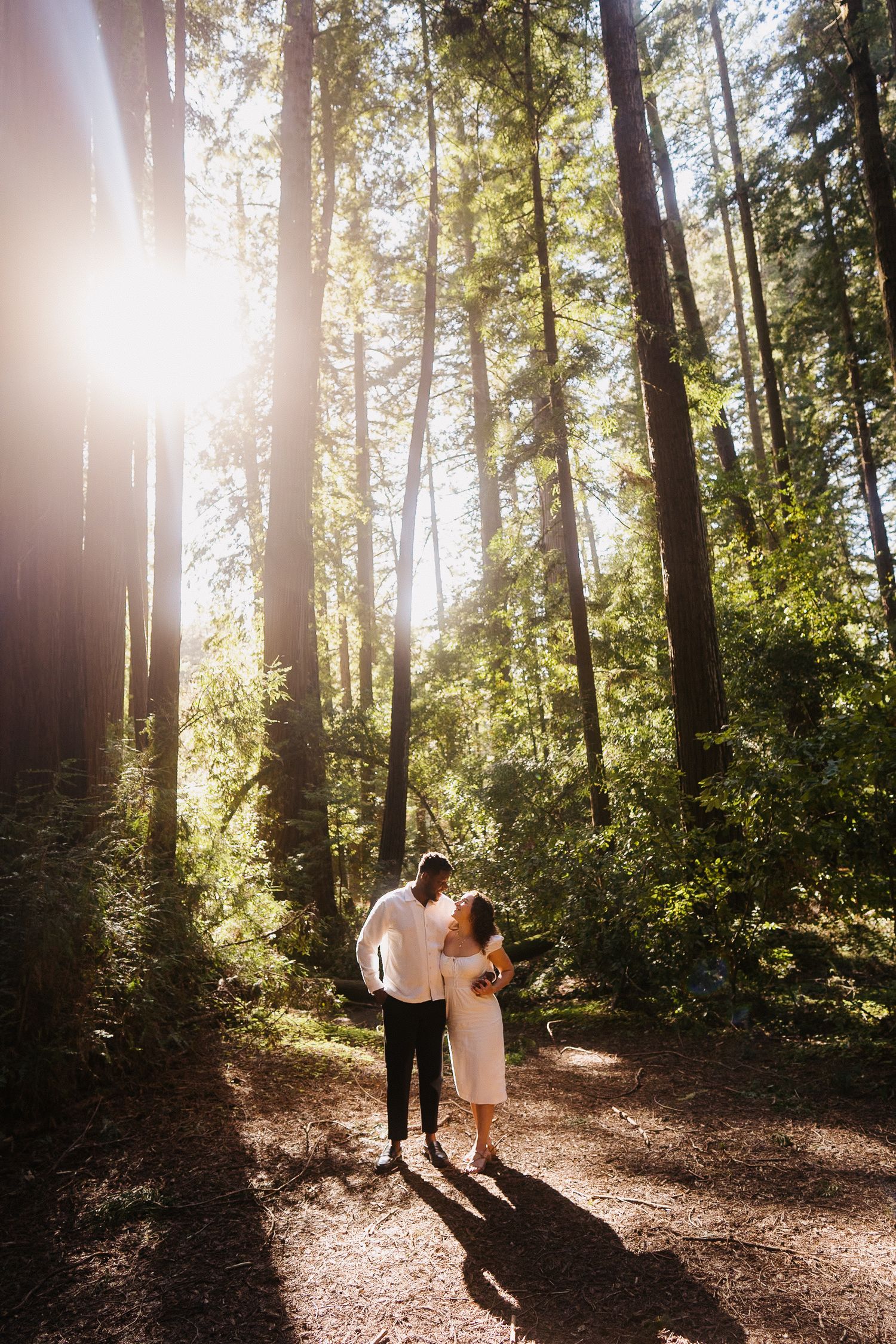 Sunlight streams through tall forest trees as a couple shares a romantic moment on a dirt path during golden hour.