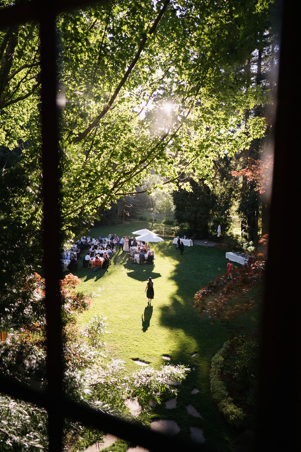 A series of images showing a sunny day in a park with people walking through a grassy area framed by trees and foliage.