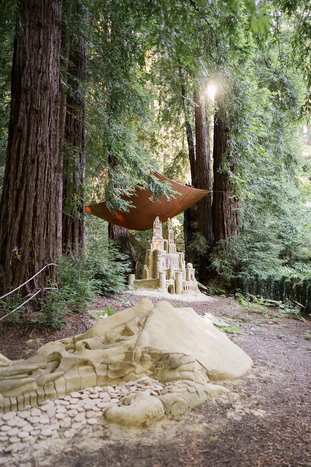 Intricate sand castle sculpture on forest path beneath towering redwood trees with sunlight streaming through branches.