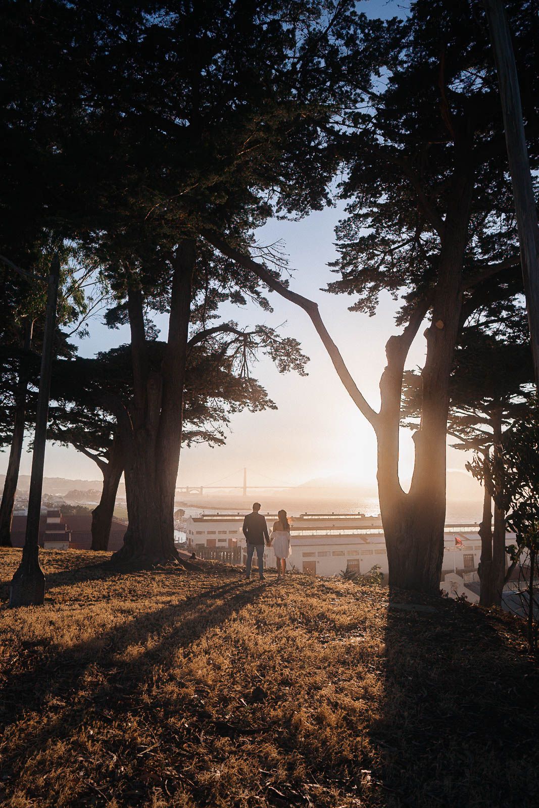 A silhouetted couple walks through tree-lined path at sunset with golden light filtering through branches.