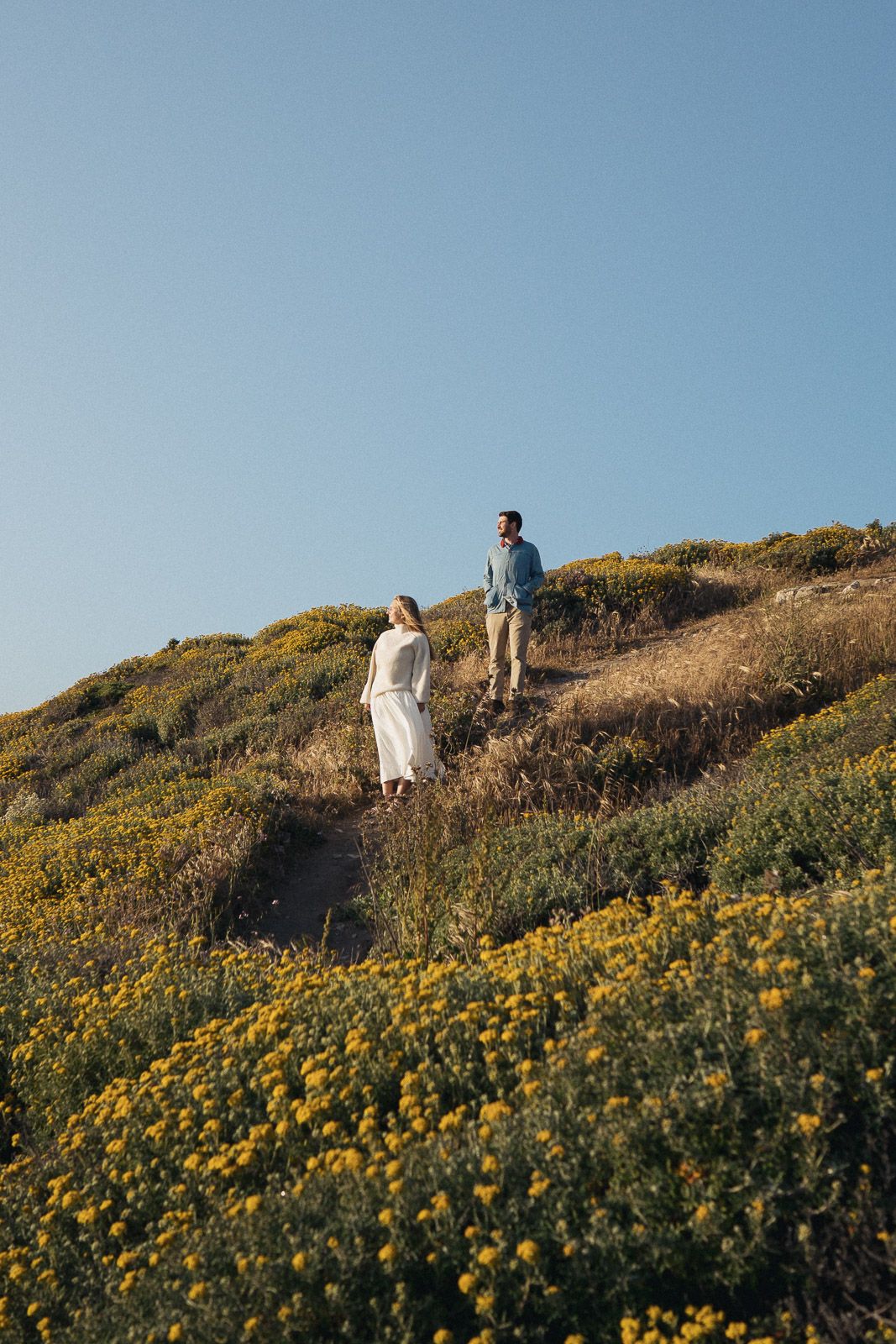 Two people walking on a hillside trail covered in vibrant yellow wildflowers against a blue sky.